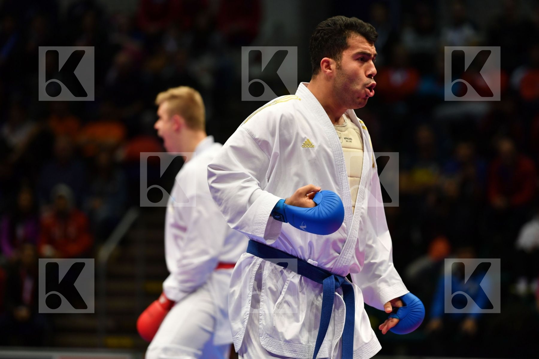 Estonia Ganjzadeh Sajad Iran  islamic republic of Male kumite 84