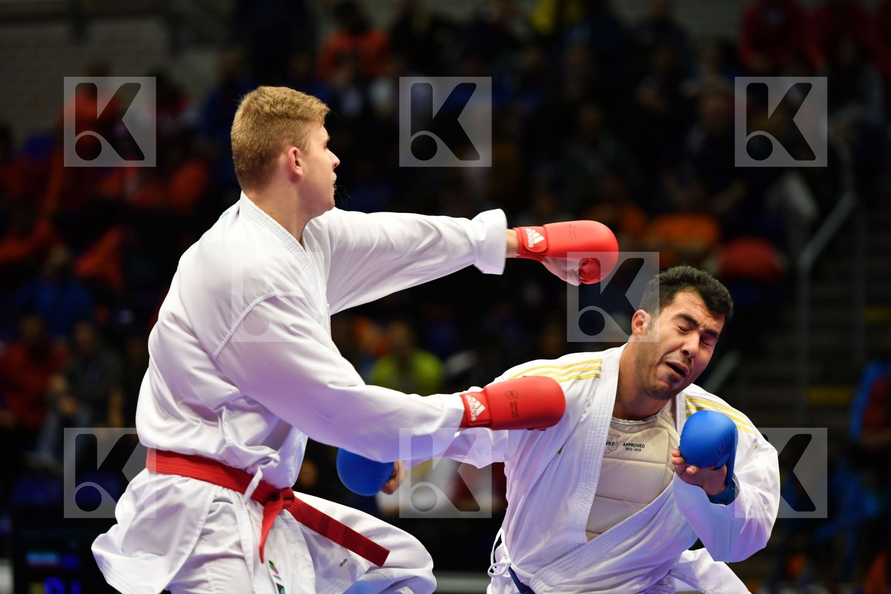 Estonia Ganjzadeh Sajad Iran  islamic republic of Male kumite 84