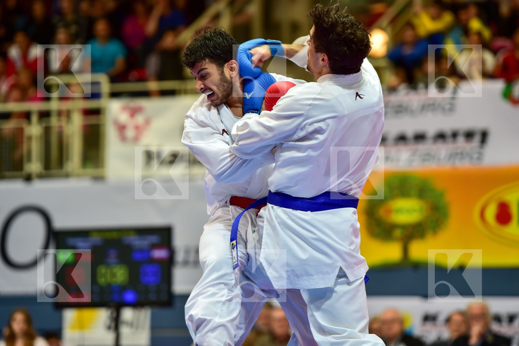 antic marko brazil figueira vinicius kaserer thomas male kumite