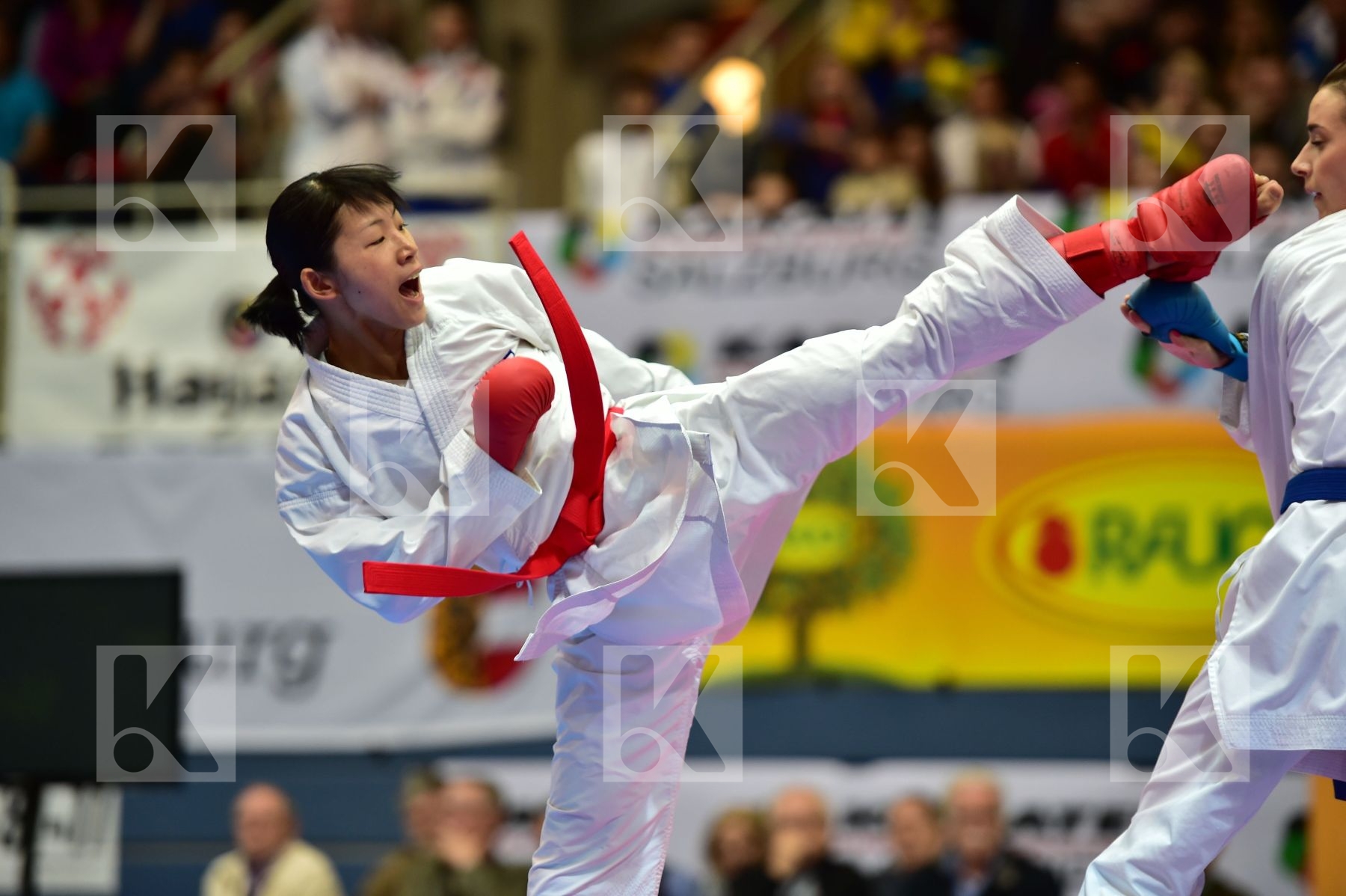 -50 Kg austria Japan kumite male plank bettina TADANO AYAKA