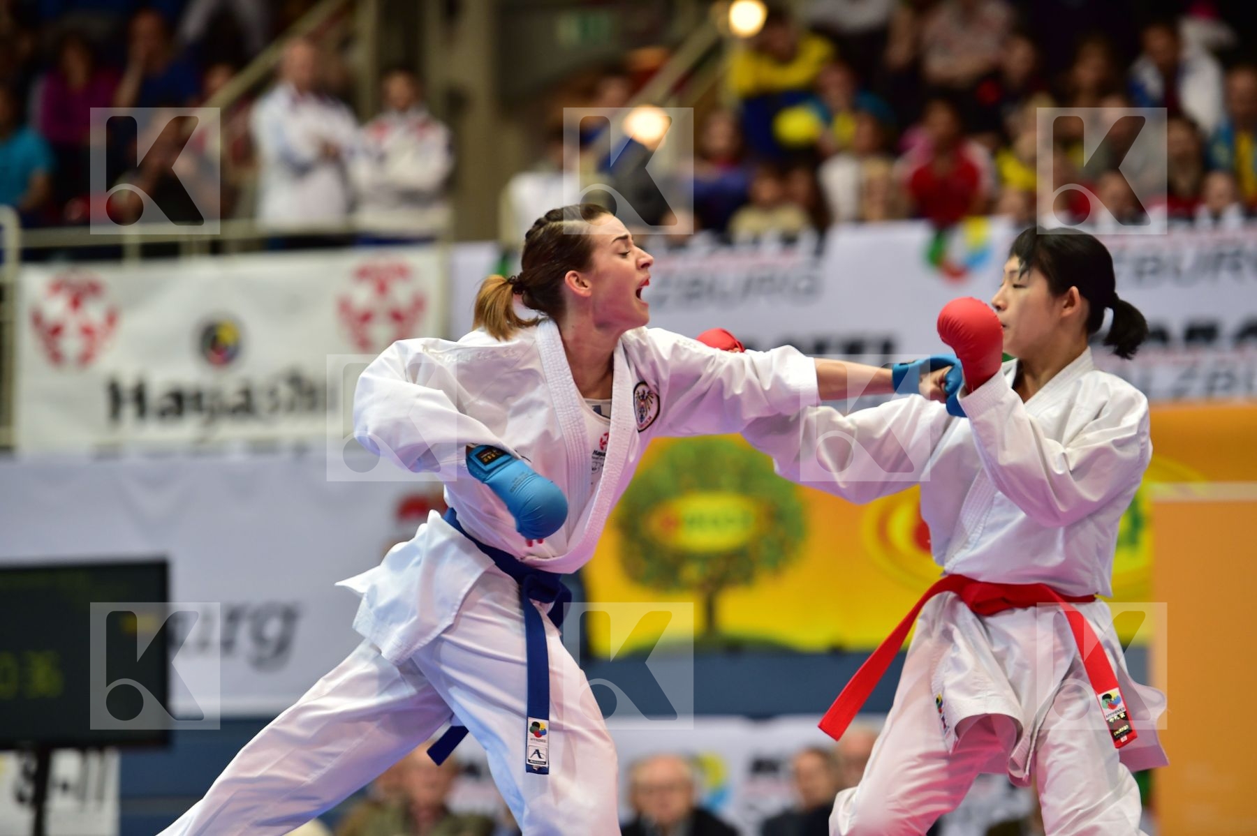 -50 Kg austria Japan kumite male plank bettina TADANO AYAKA