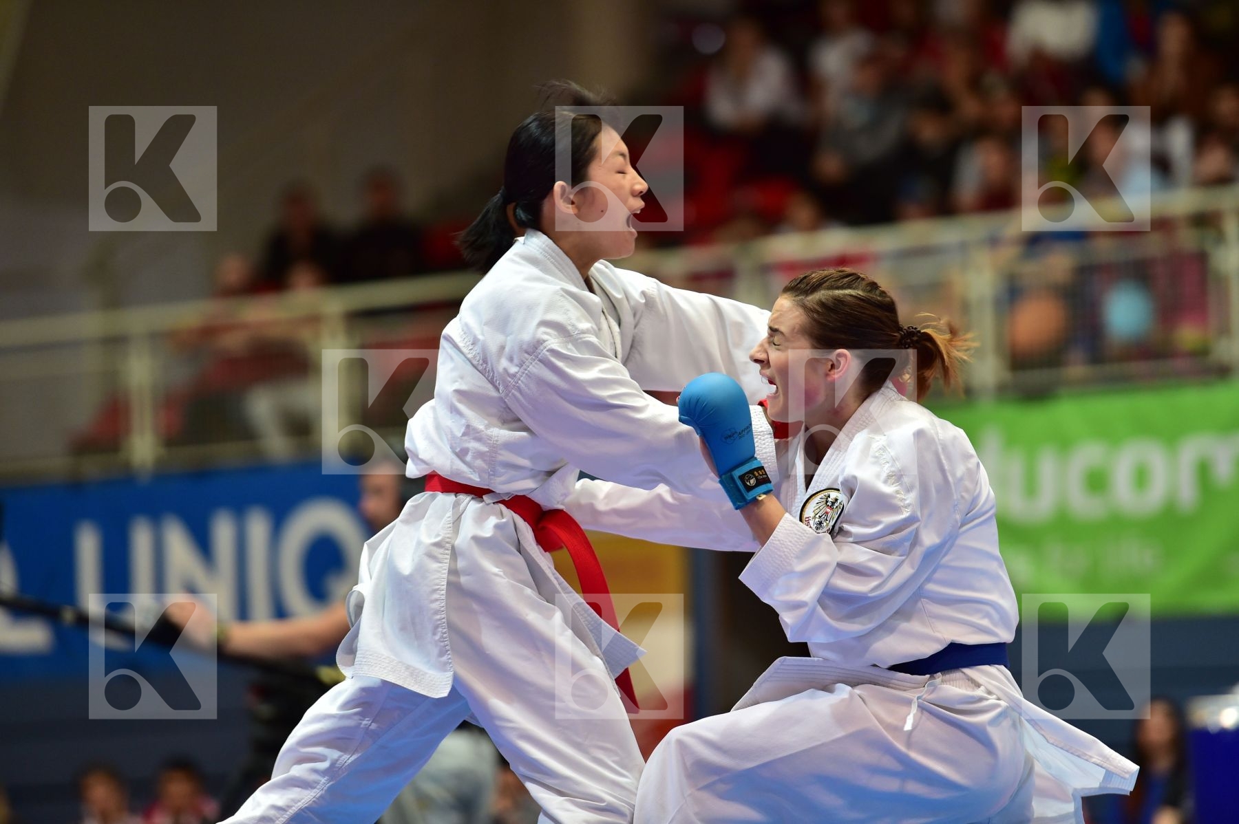-50 Kg austria Japan kumite male plank bettina TADANO AYAKA