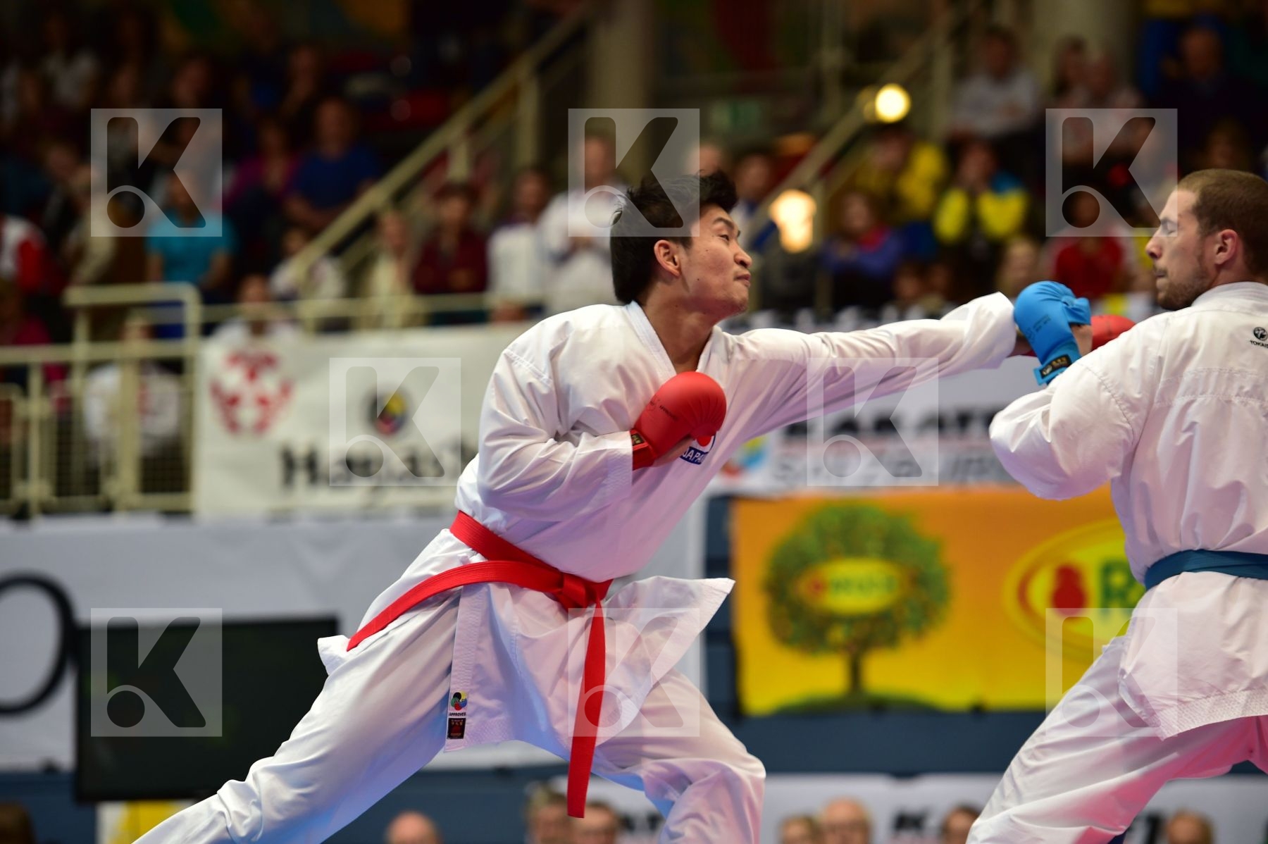 araga ryutaro Japan karaqi alvin kosovo male kumite -84 kg repub