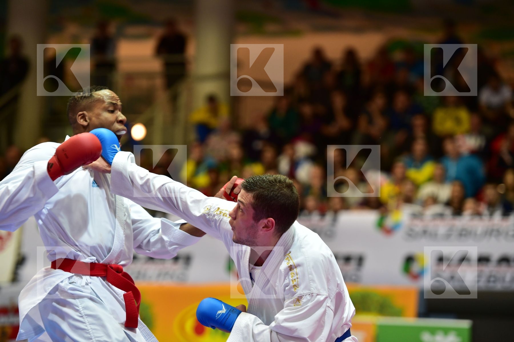 bitevic slobodan male kumite 84+ kg netherlands serbia sheppard