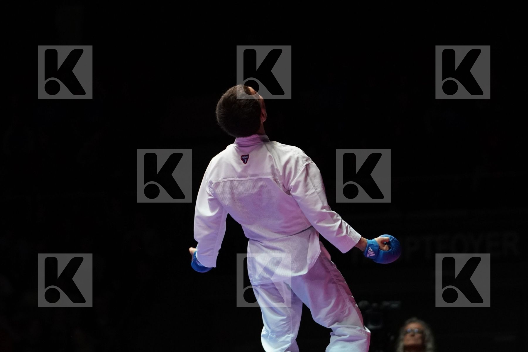 ERAY SAMDAN (TURKEY) VS DARKHAN ASSADILOV (KAZAKHSTAN) in Senior Kumite -60 Kg - Gold bout