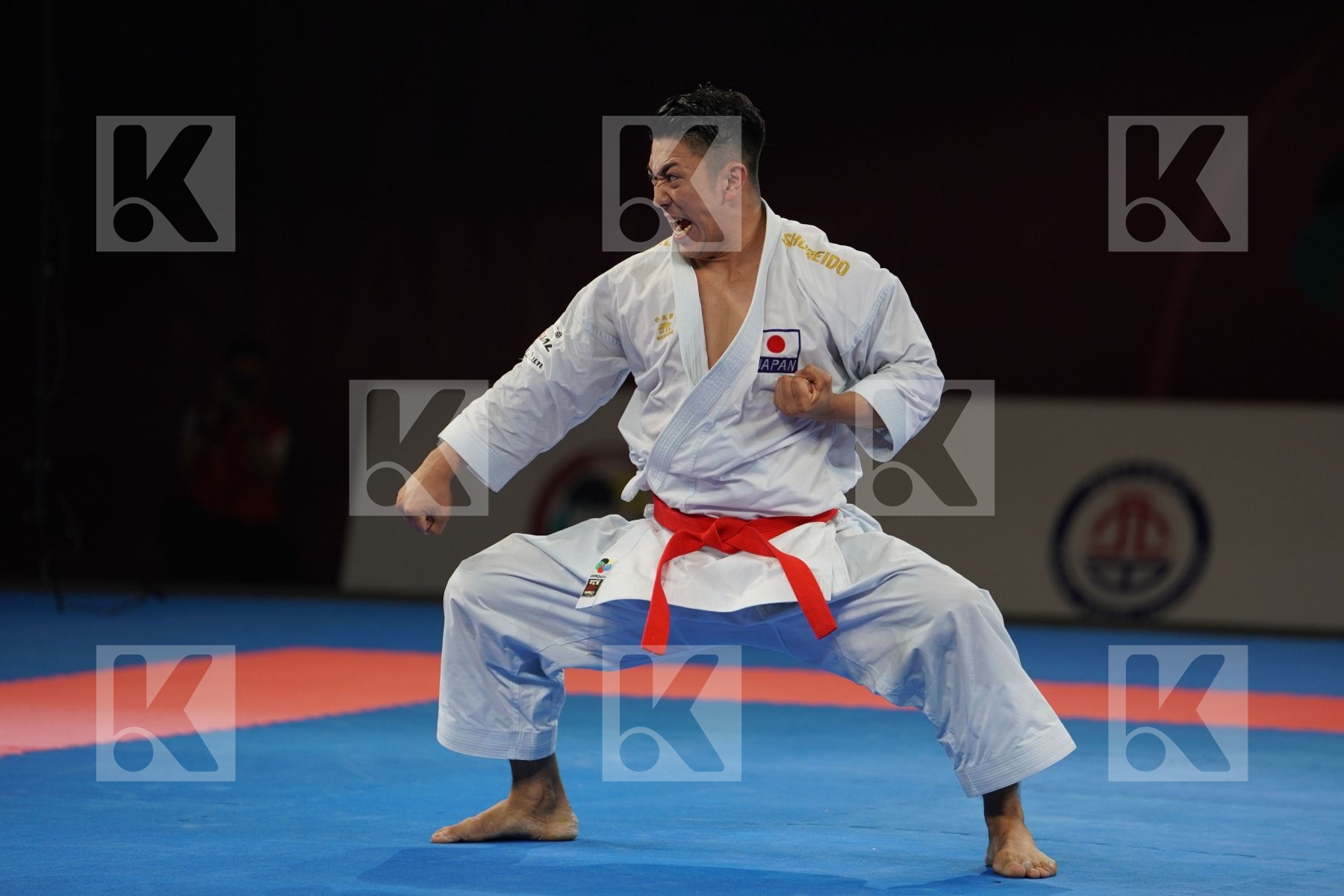 KIYUNA RYO (JAPAN) in Senior Male Kata - Gold bout