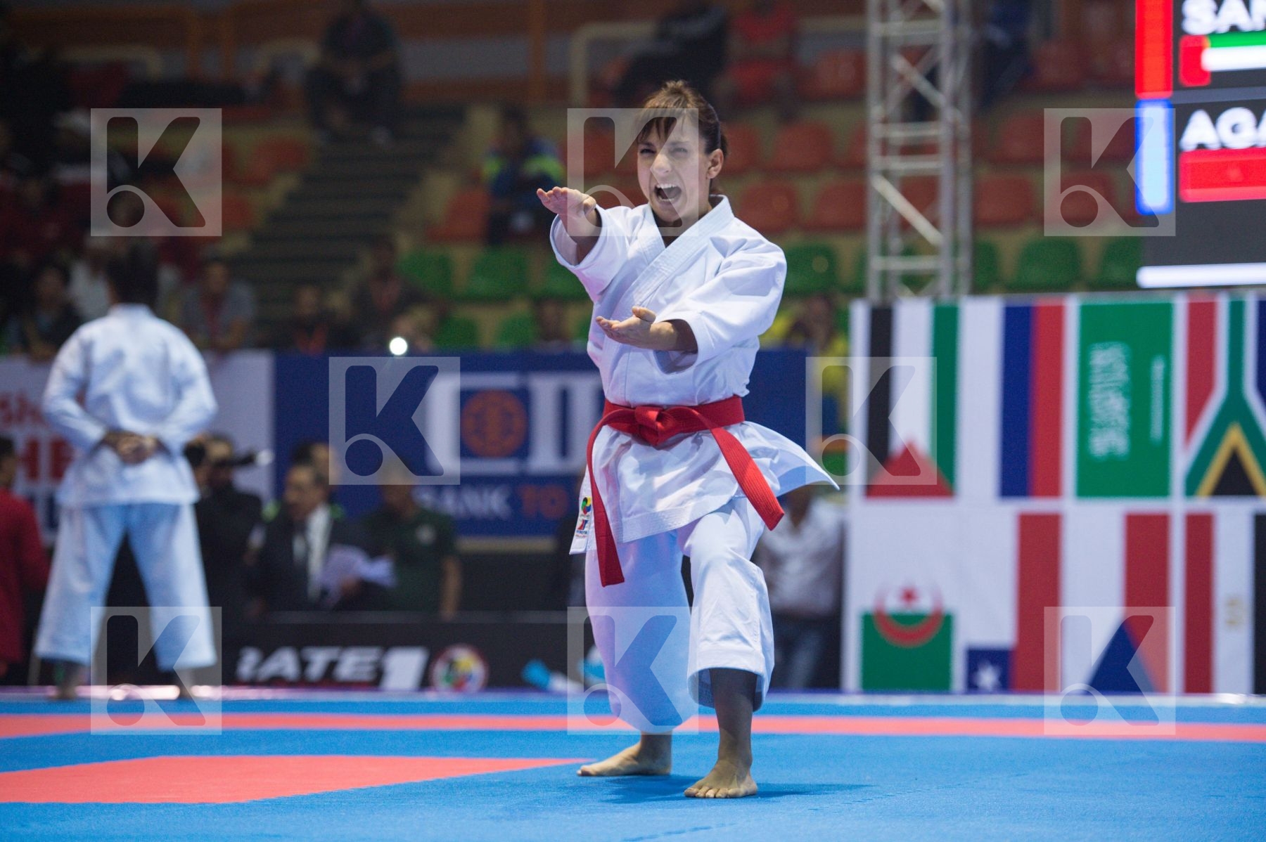 final Sanchez Jaime Sandra Spain