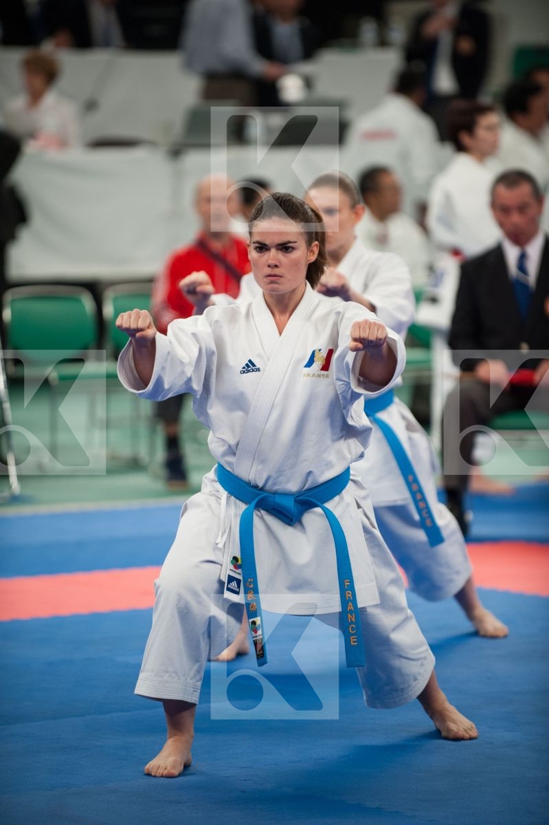 WKF World Karate Senior 2008 Tokyo 2008