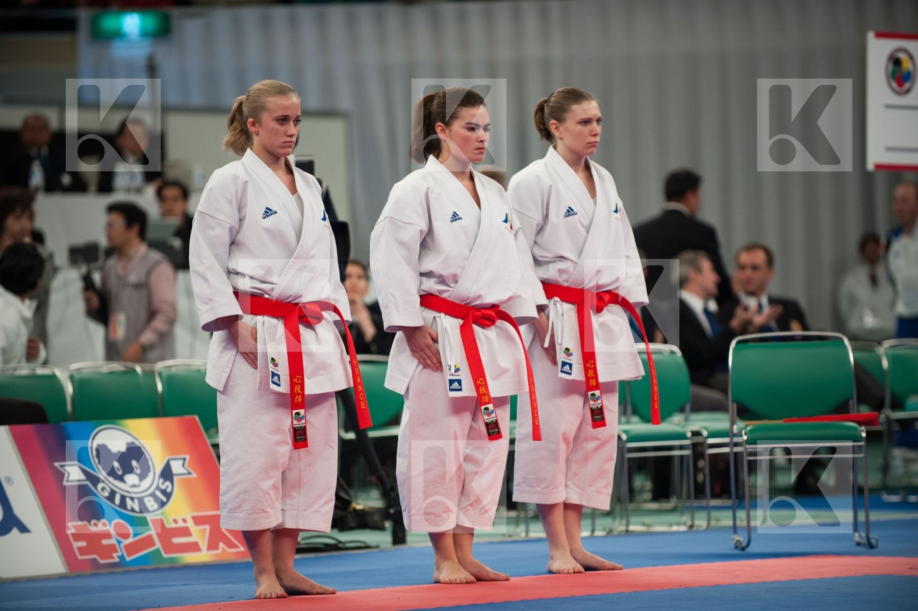 WKF World Karate Senior 2008 Tokyo 2008