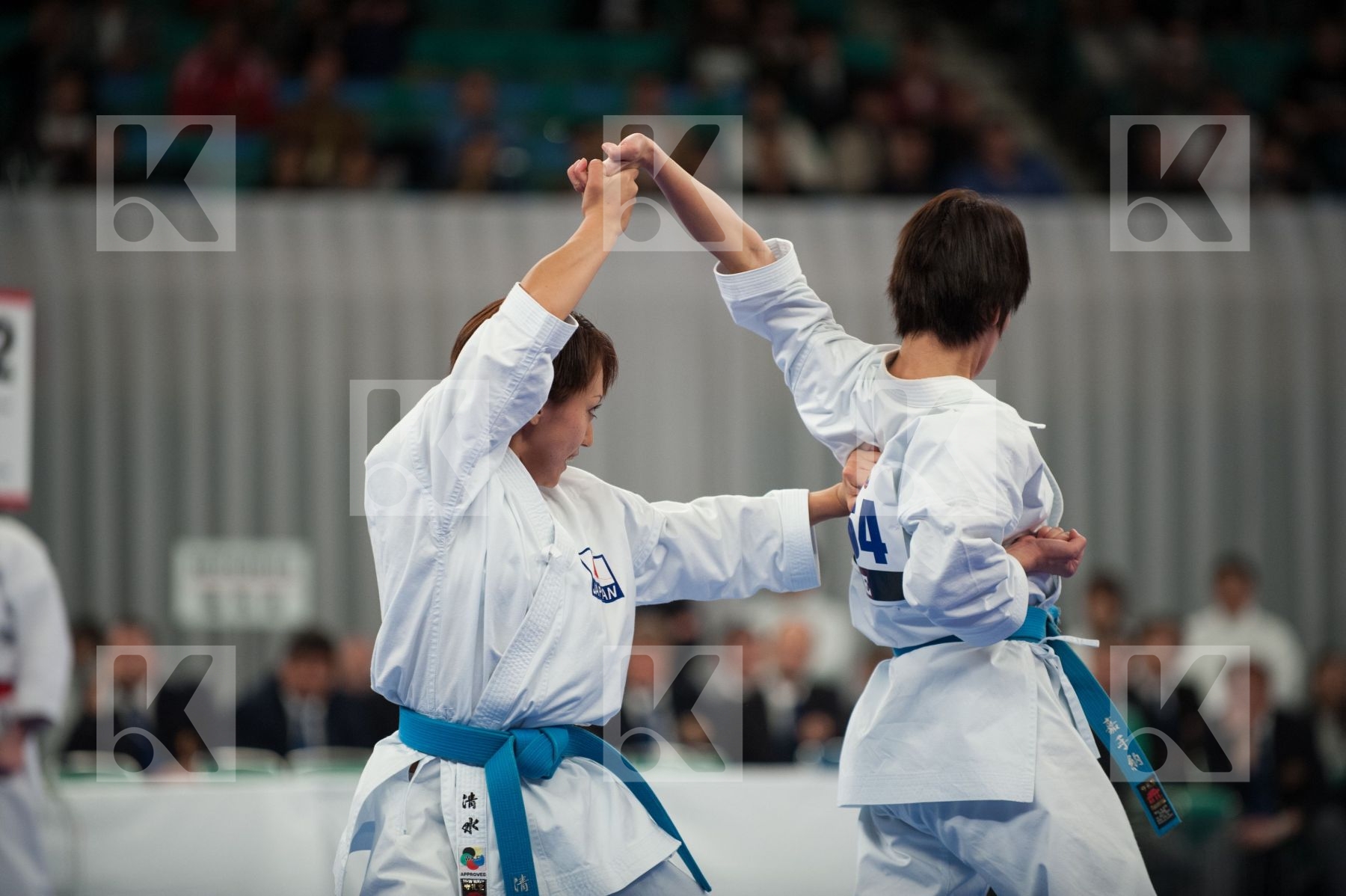 WKF World Karate Senior 2008 Tokyo 2008