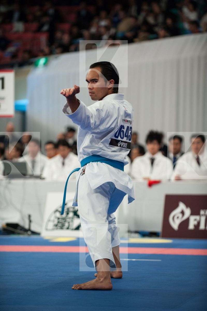 WKF World Karate Senior 2008 Tokyo 2008