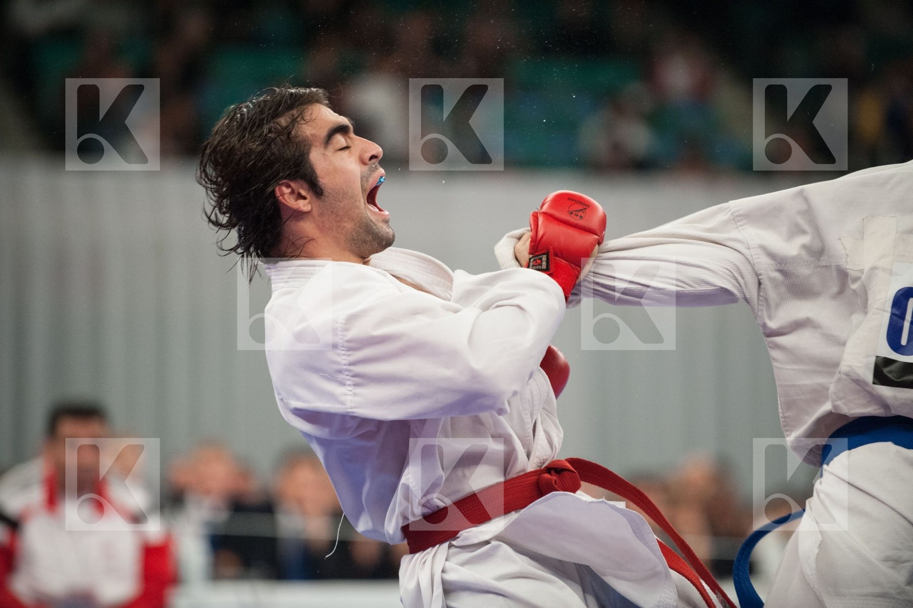 WKF World Karate Senior 2008 Tokyo 2008