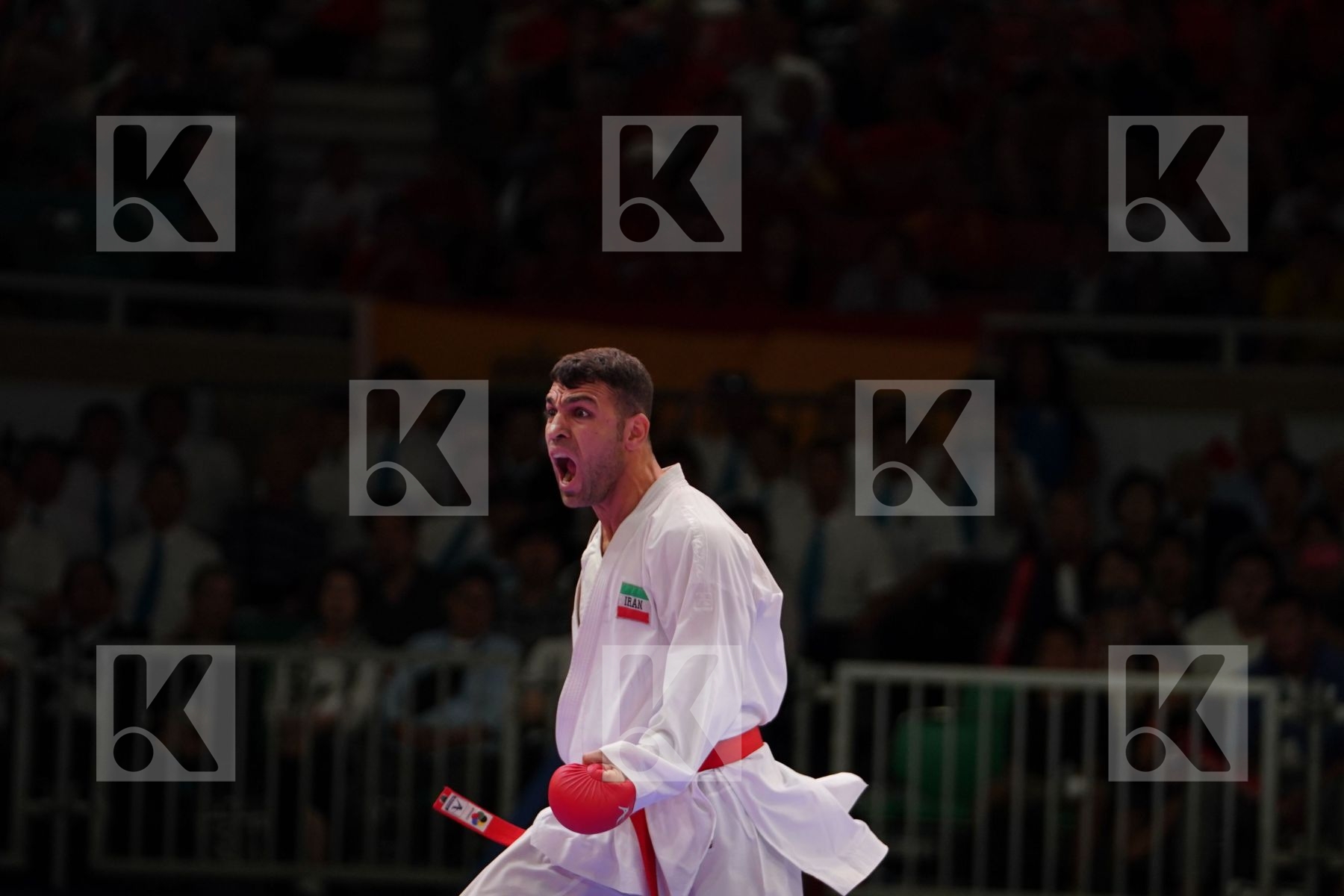 POORSHAB ZABIHOLLAH (IRAN) vs ARAGA RYUTARO (JAPAN) in Senior Kumite -84 Kg - Gold bout