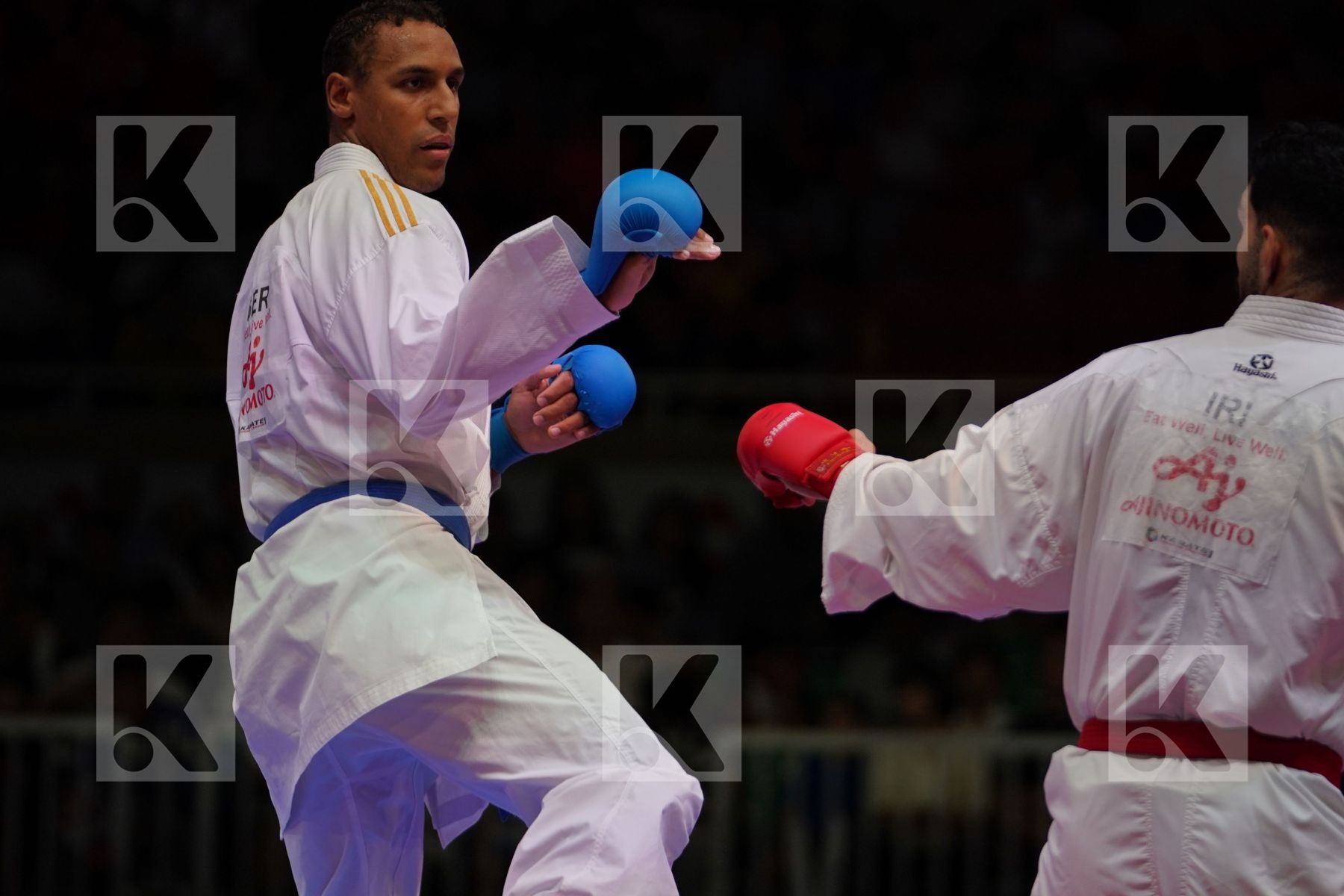ABAZARI SALEH (IRAN) vs HORNE JONATHAN (GERMANY) in Senior Kumite 84+ Kg - Gold bout