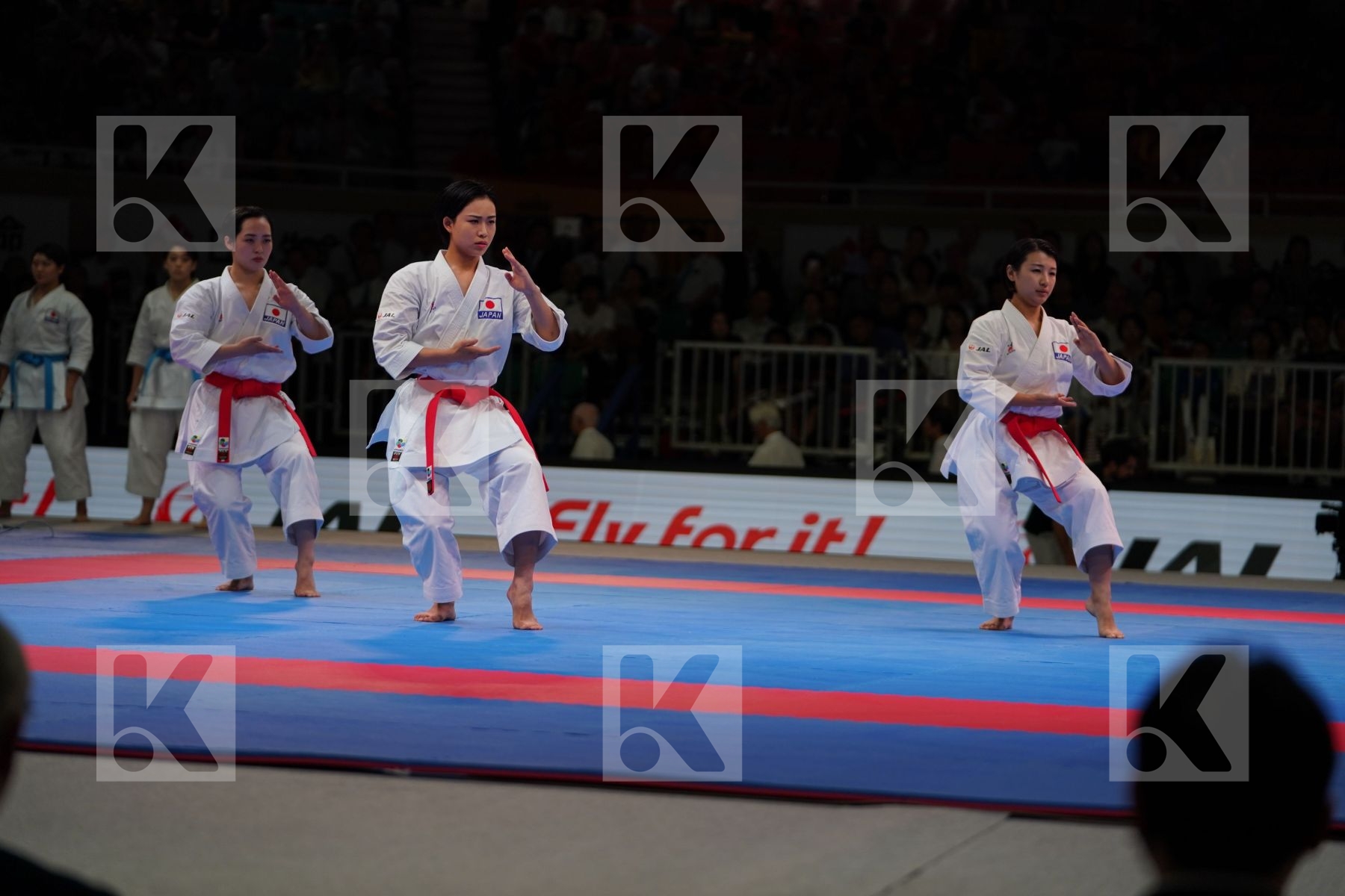 JAPAN in Senior Team Male Kata - Gold bout