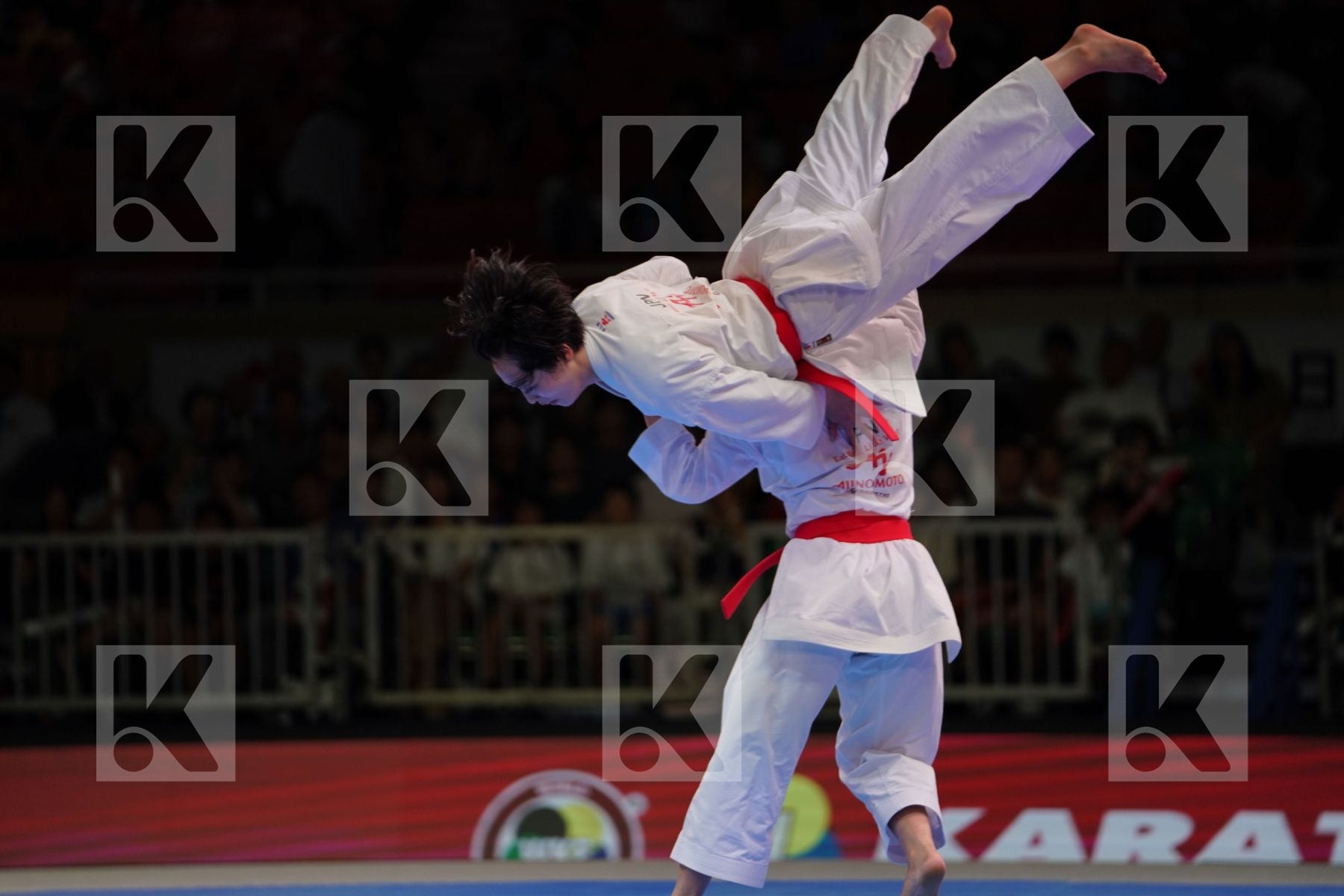 JAPAN in Senior Team Male Kata - Gold bout