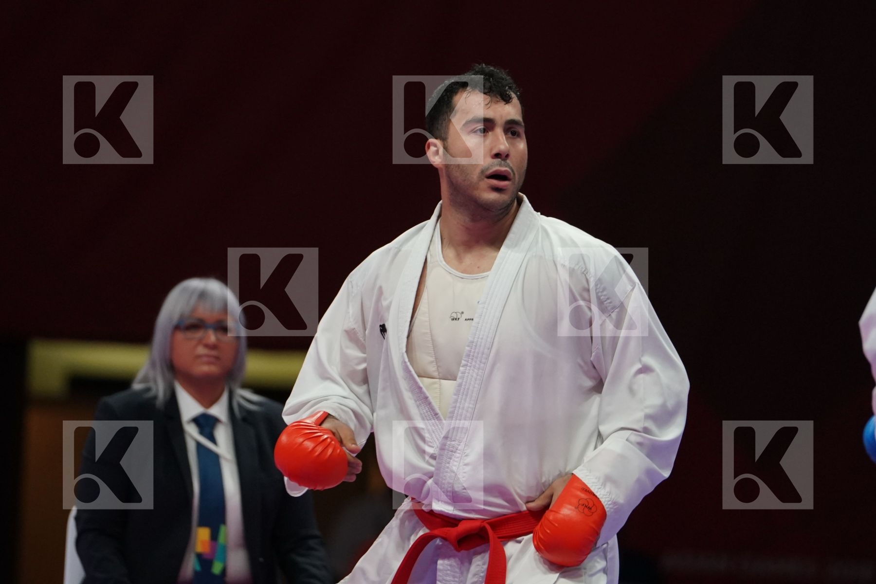 SAJAD GANJZADEH (ISLAMIC REPUBLIC OF IRAN) vs TAREG ALI HAMEDI (SAUDI ARABIA) in Senior Kumite 84+ Kg - Qualification