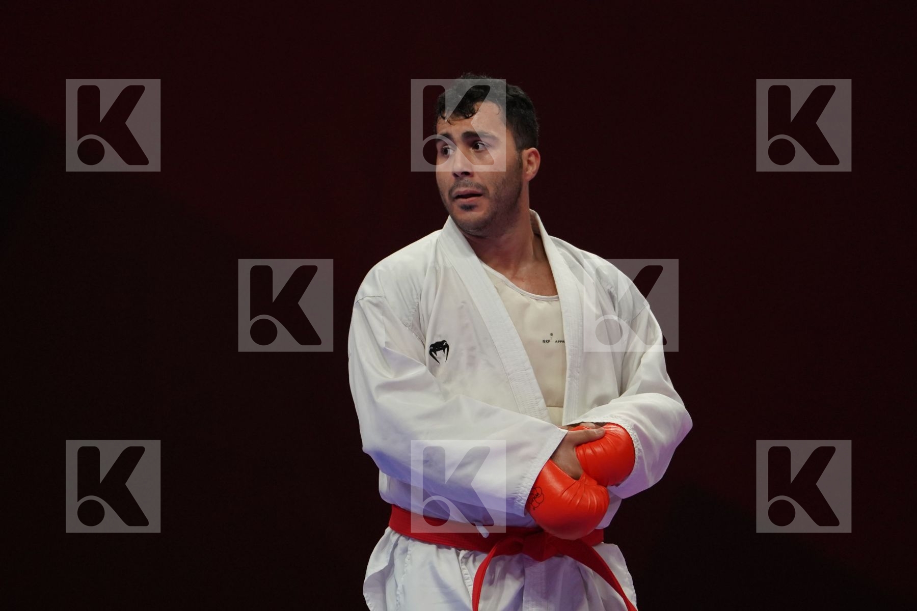 SAJAD GANJZADEH (ISLAMIC REPUBLIC OF IRAN) vs TAREG ALI HAMEDI (SAUDI ARABIA) in Senior Kumite 84+ Kg - Qualification