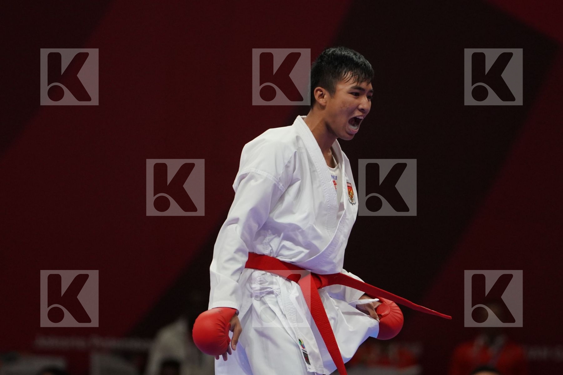 RIFKI ARDIANSYAH ARROSYIID (INDONESIA) vs CHUN HO LEE (HONG KONG) in Senior Kumite -60 Kg - Qualification