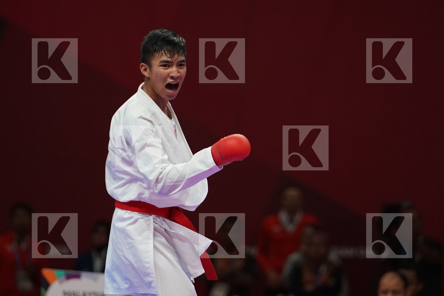 RIFKI ARDIANSYAH ARROSYIID (INDONESIA) vs PREM KUMAR SELVAM (MALAYSIA) in Senior Kumite -60 Kg - Qualification