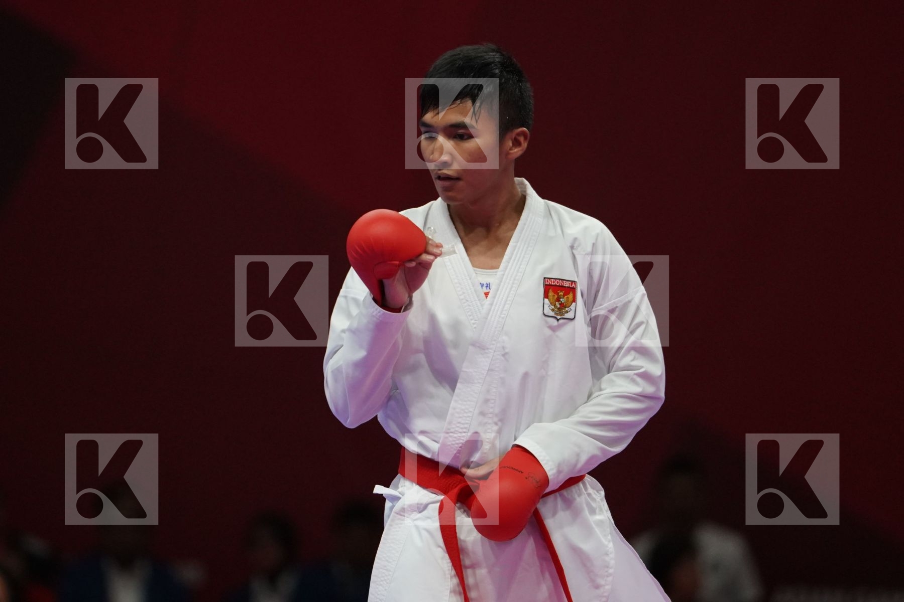RIFKI ARDIANSYAH ARROSYIID (INDONESIA) vs AMIR MAHDI ZADEH (ISLAMIC REPUBLIC OF IRAN) in Senior Kumite -60 Kg - Final