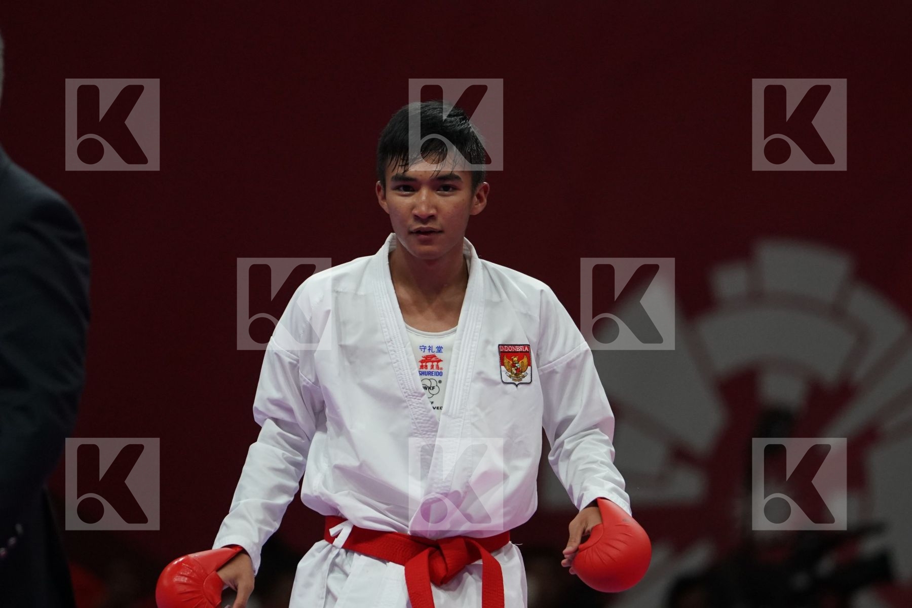 RIFKI ARDIANSYAH ARROSYIID (INDONESIA) vs AMIR MAHDI ZADEH (ISLAMIC REPUBLIC OF IRAN) in Senior Kumite -60 Kg - Final