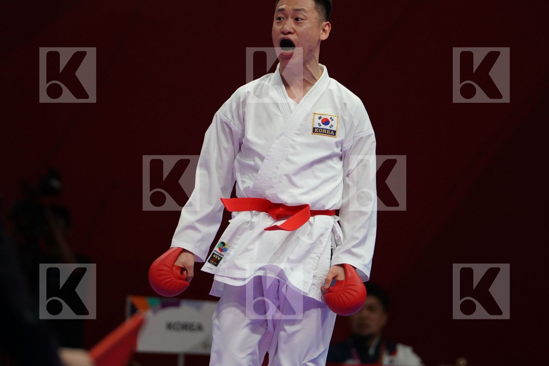 ZHIWEI WANG (CHINA) vs ABDEL RAHMAN ALMASATFA (JORDAN) in Senior Kumite -67 Kg - Qualification