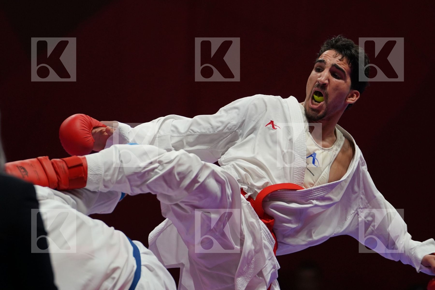 BASHAR ALNAJJAR (JORDAN) vs RAEF ADEL ALTURKISTANI (SAUDI ARABIA) in Senior Kumite Ð 75 Kg - Qualification