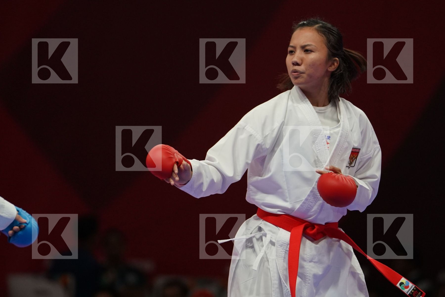 in Senior Kumite -50 Kg - Qualification
