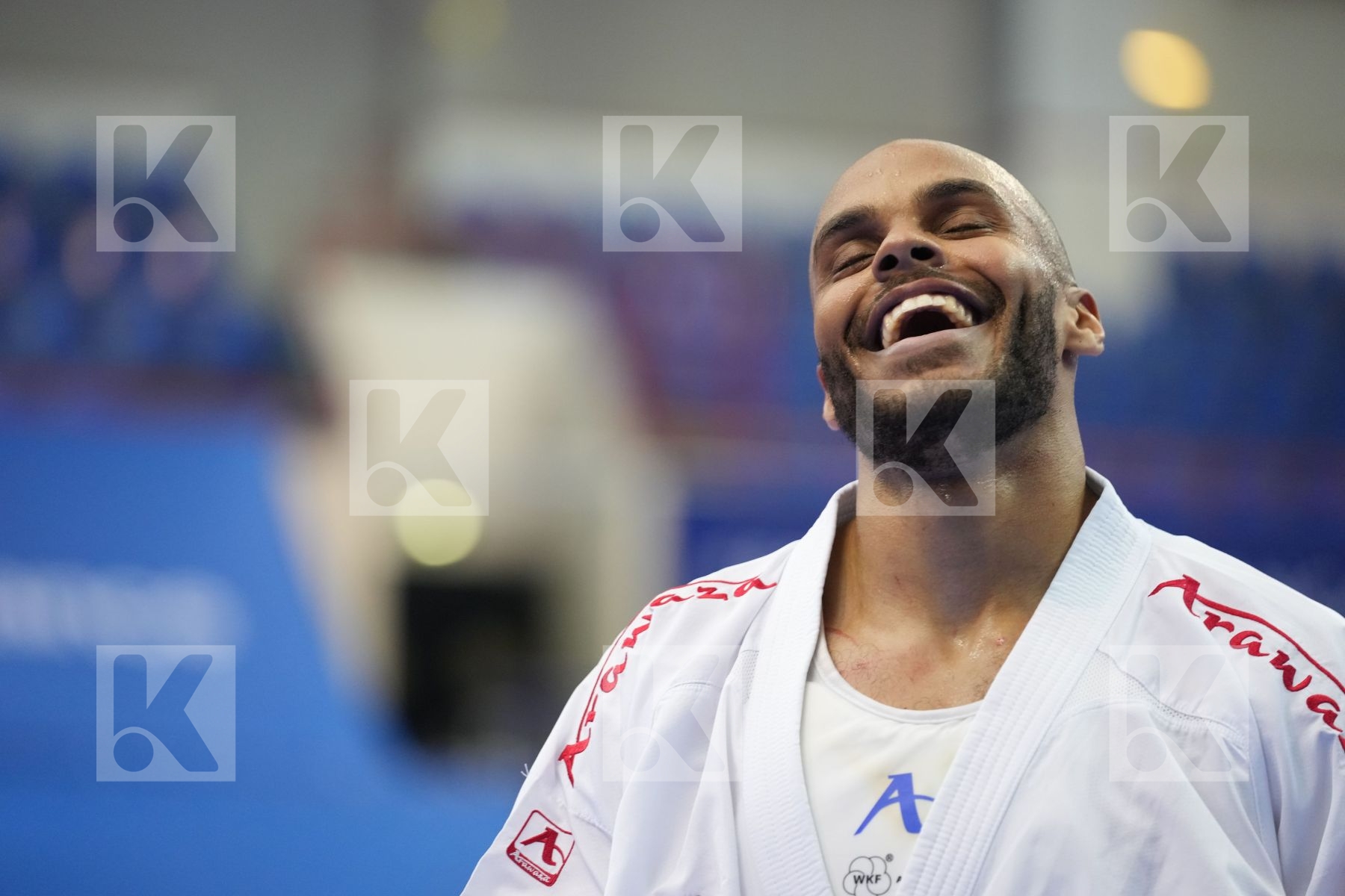 GAYSINSKY DANIEL (CANADA), LARDY TYRON-DARNELL (NETHERLANDS) in Olympic Category - Kumite Male 75+ KG - Round Robin bout
