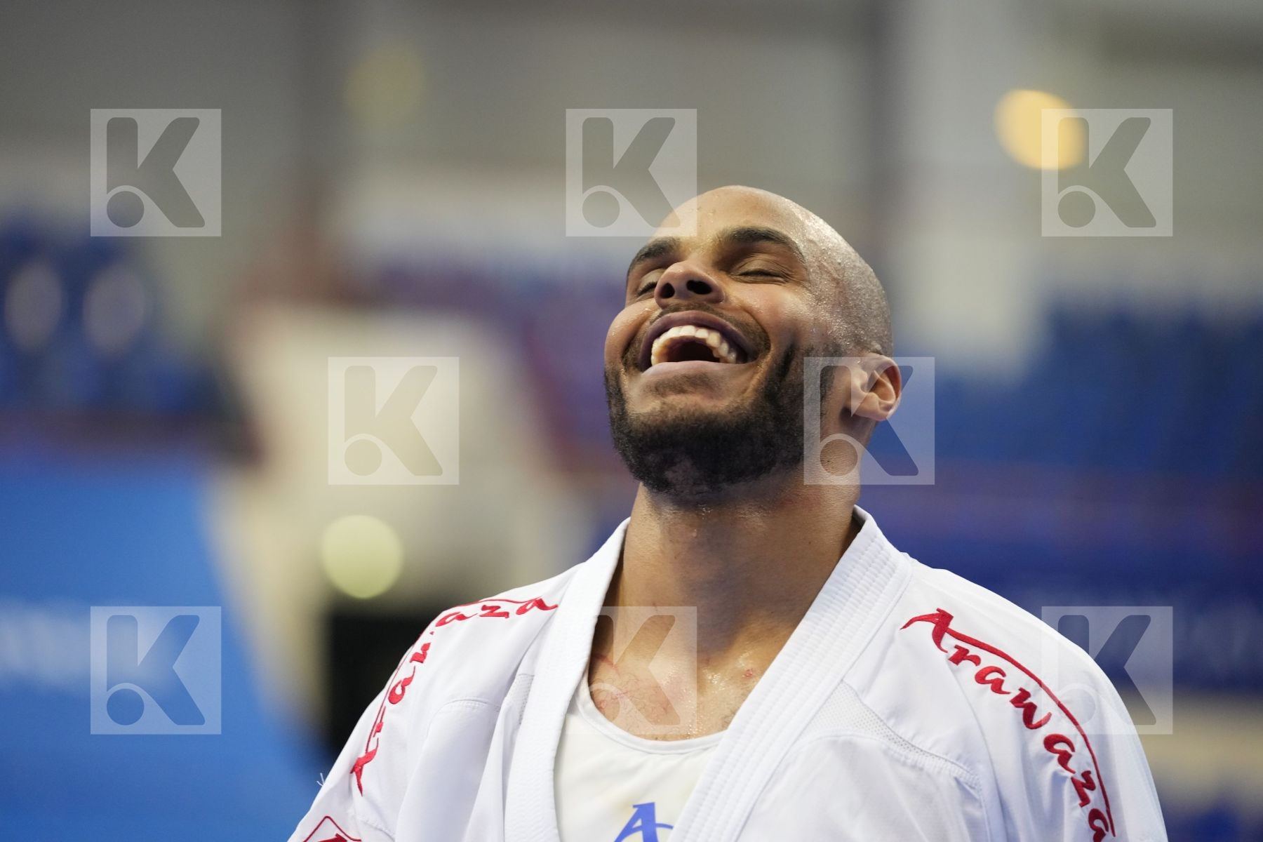 GAYSINSKY DANIEL (CANADA), LARDY TYRON-DARNELL (NETHERLANDS) in Olympic Category - Kumite Male 75+ KG - Round Robin bout
