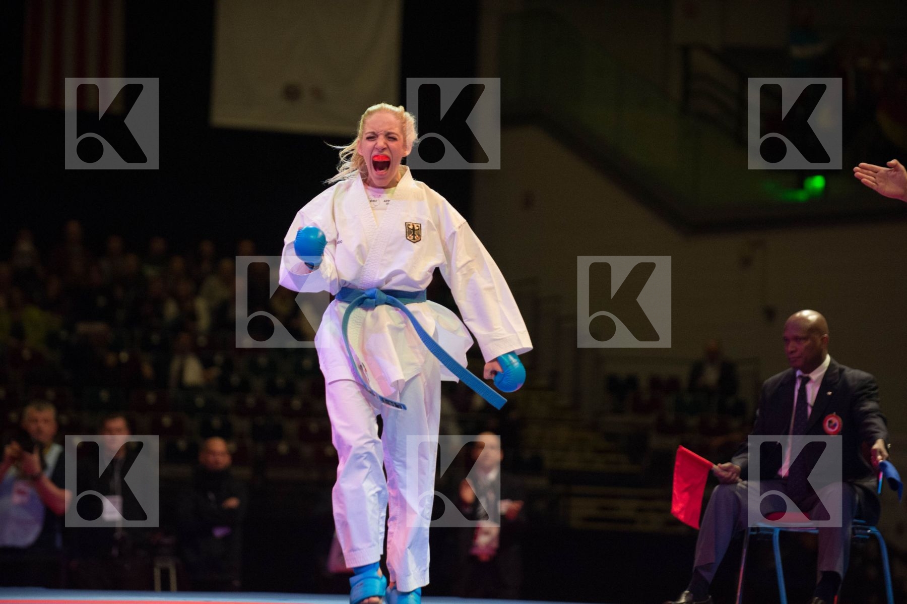 World Senior Karate Championship 2014 Bremen