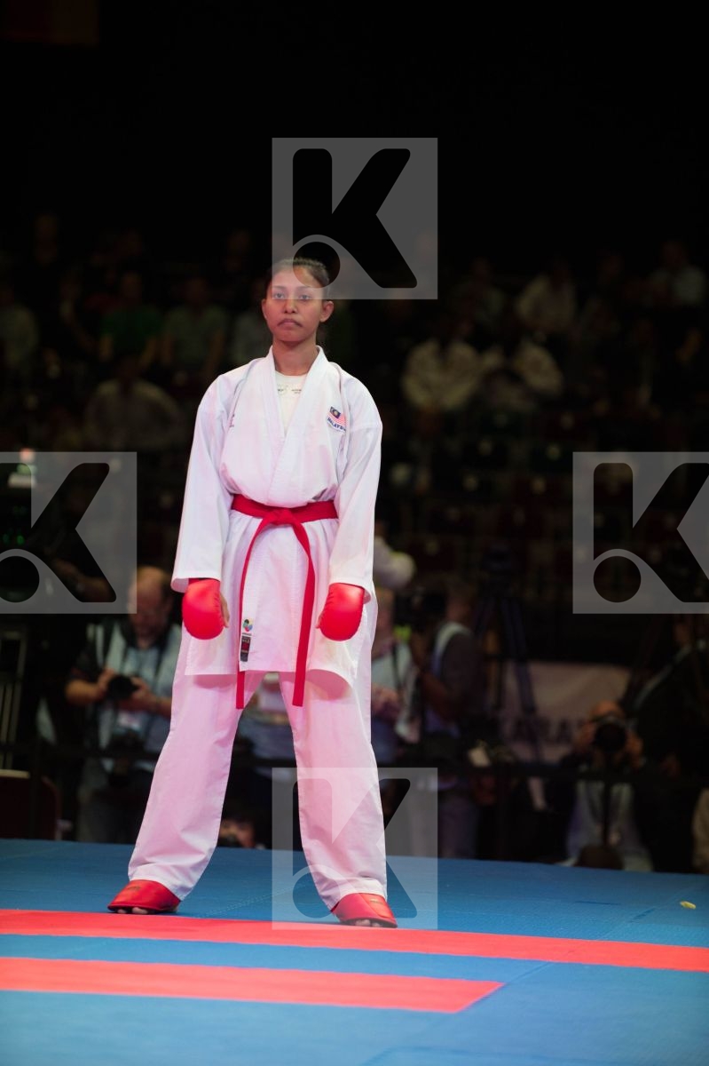 World Senior Karate Championship 2014 Bremen
