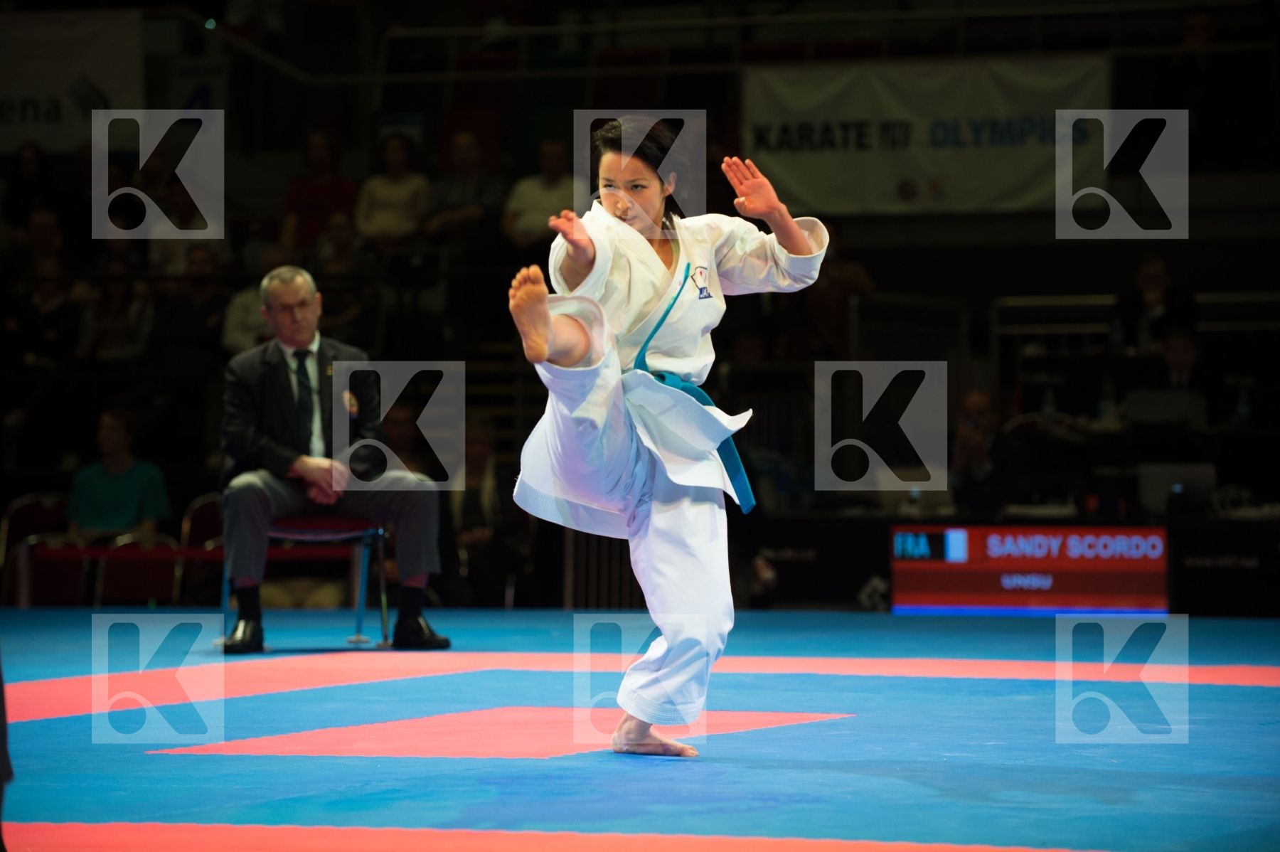 World Senior Karate Championship 2014 Bremen