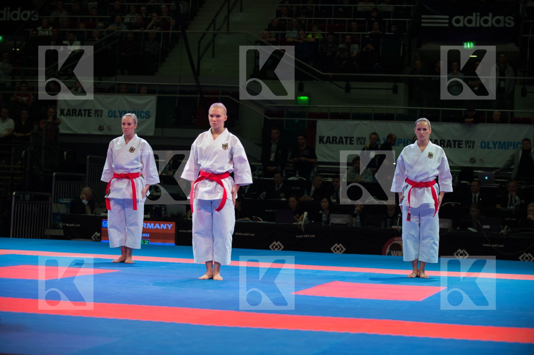 World Senior Karate Championship 2014 Bremen