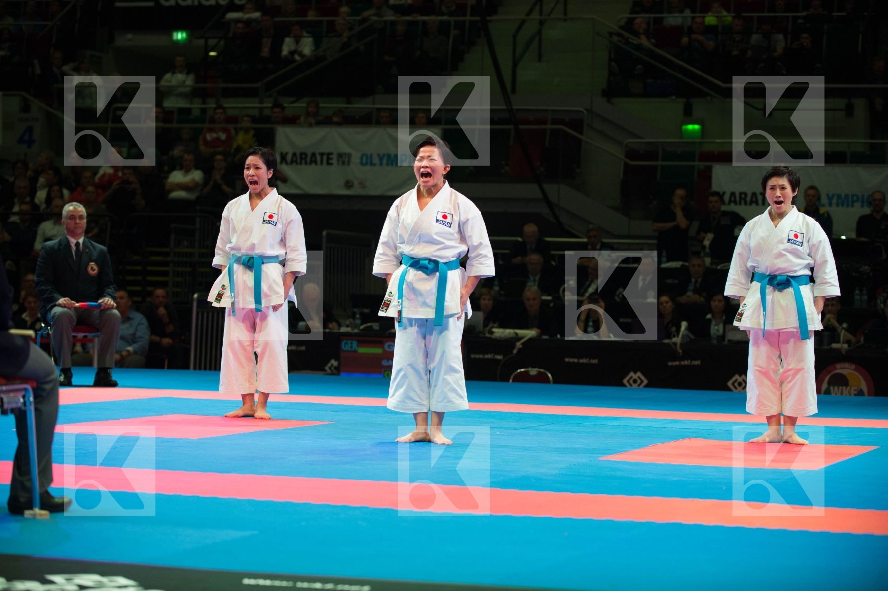 World Senior Karate Championship 2014 Bremen