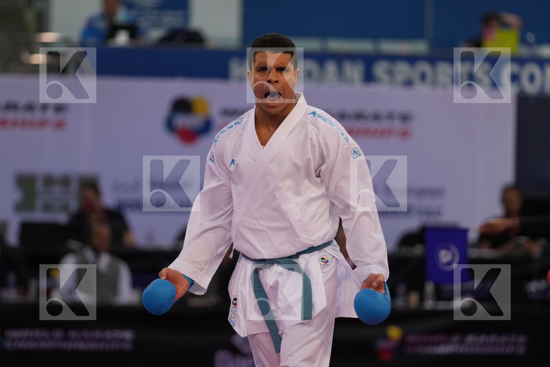 HUAIQUIMAN FABIAN (CHILE) vs BADAWY YOUSSEF (EGYPT) in Male Kumite -84 Kg - final bout