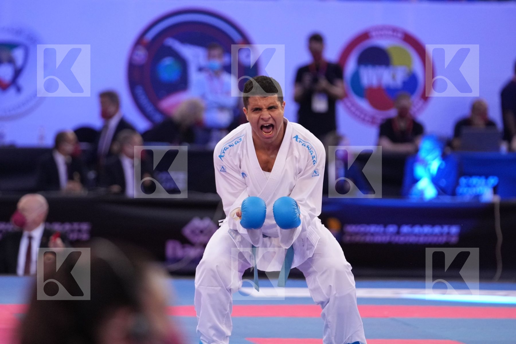 HUAIQUIMAN FABIAN (CHILE) vs BADAWY YOUSSEF (EGYPT) in Male Kumite -84 Kg - final bout