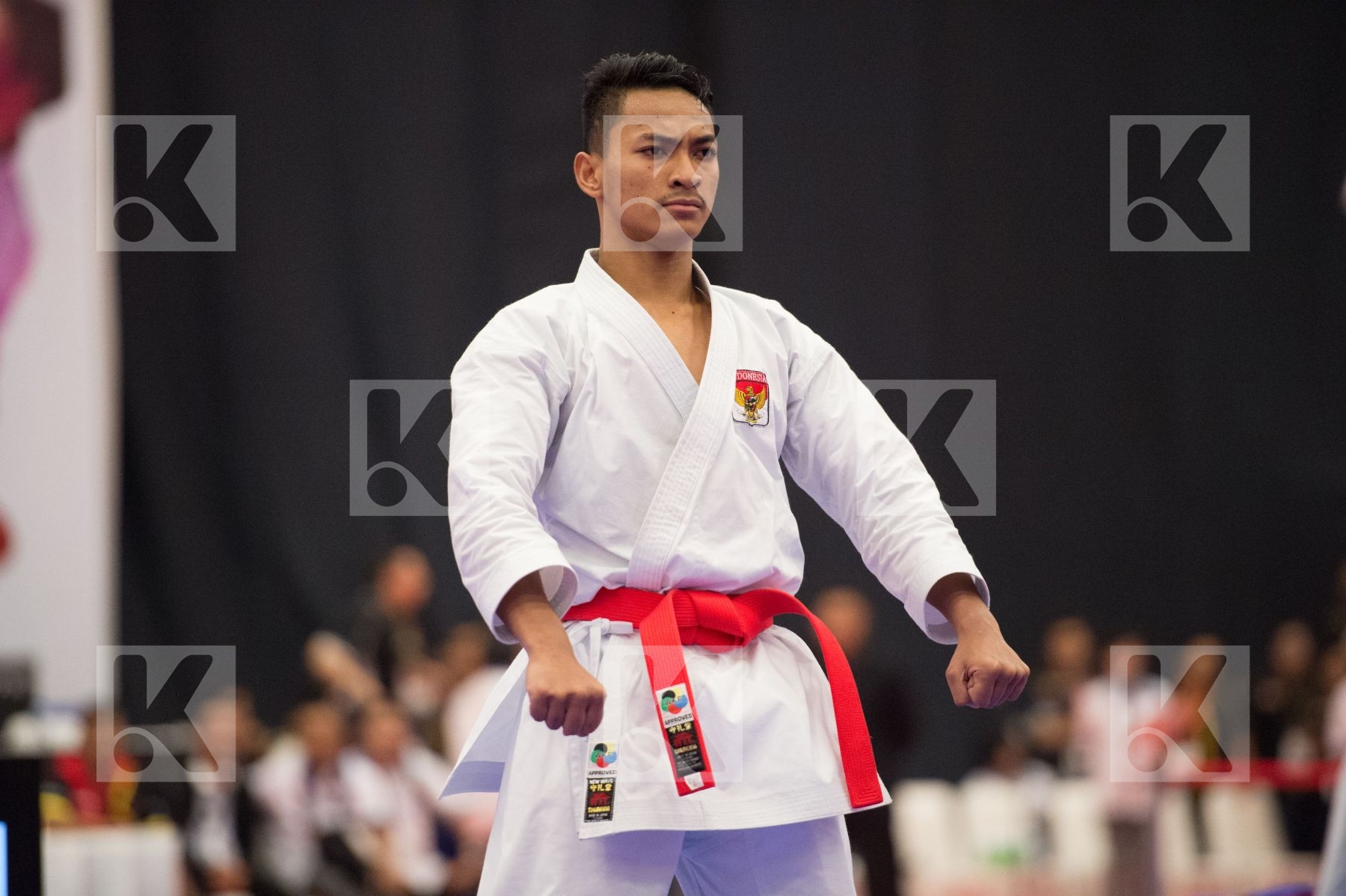 Ahmad Zigi Zaresta Indonesia Junior Kata