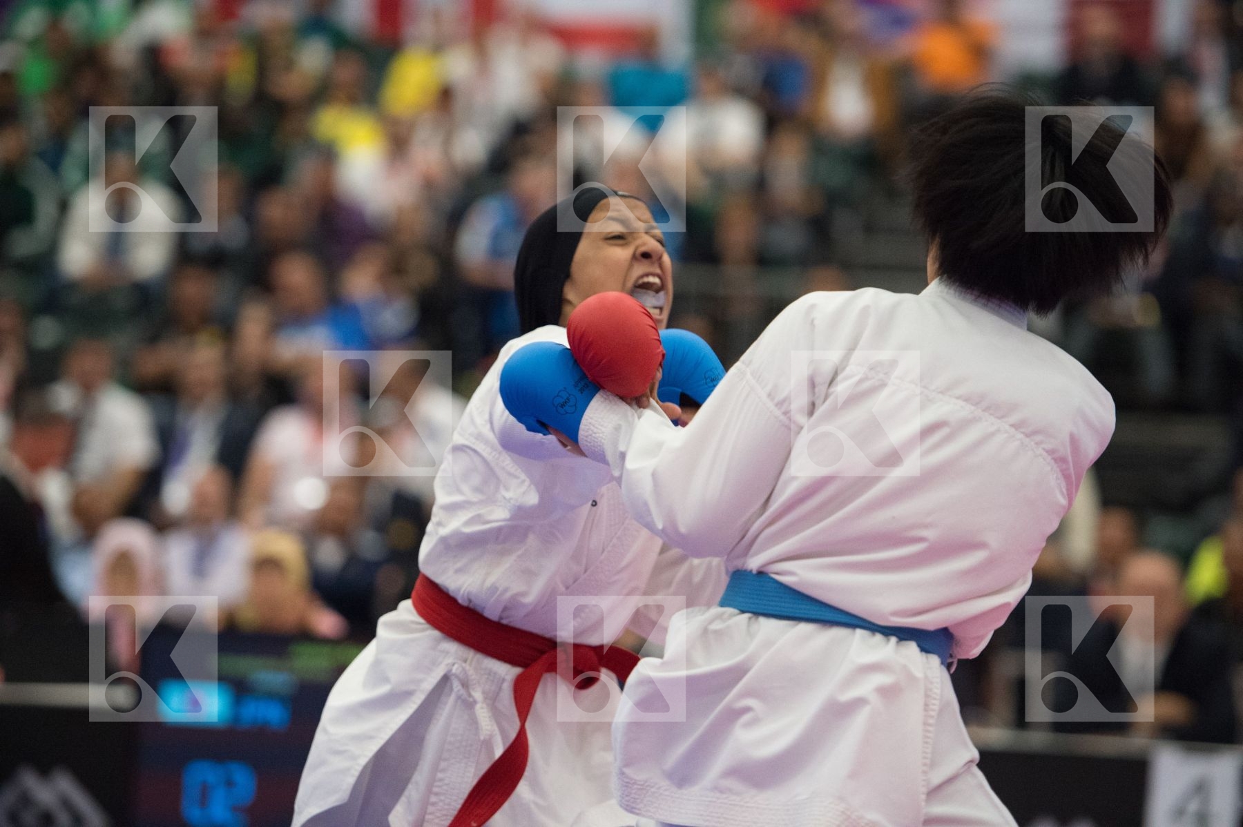 -48 kg Abdelkader Esraa Egypt Junior Yoshimura Suzuku
