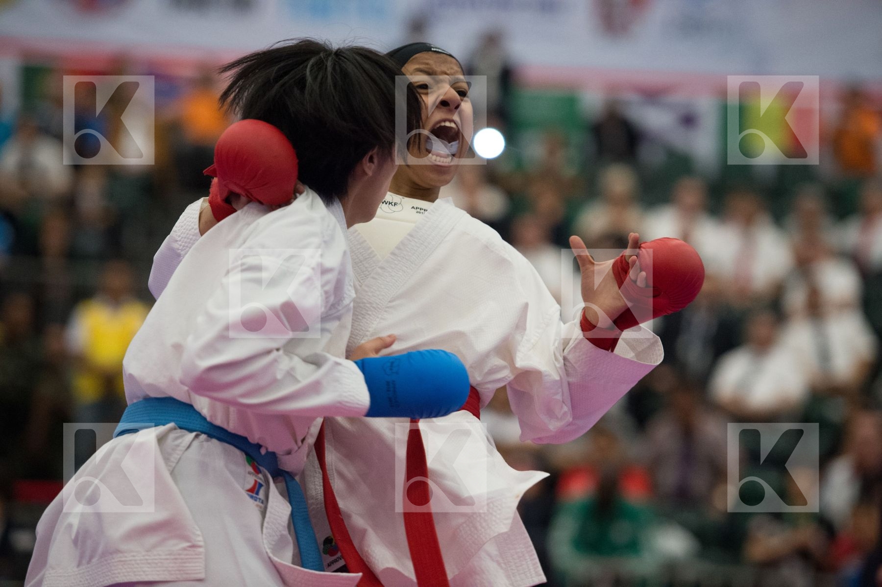 -48 kg Abdelkader Esraa Egypt Junior Yoshimura Suzuku