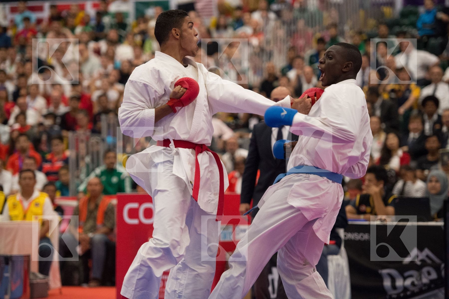 76+ kg Ahmed Aly Arawaza Egypt Hamedi Tareg Junior Saudi Arabia