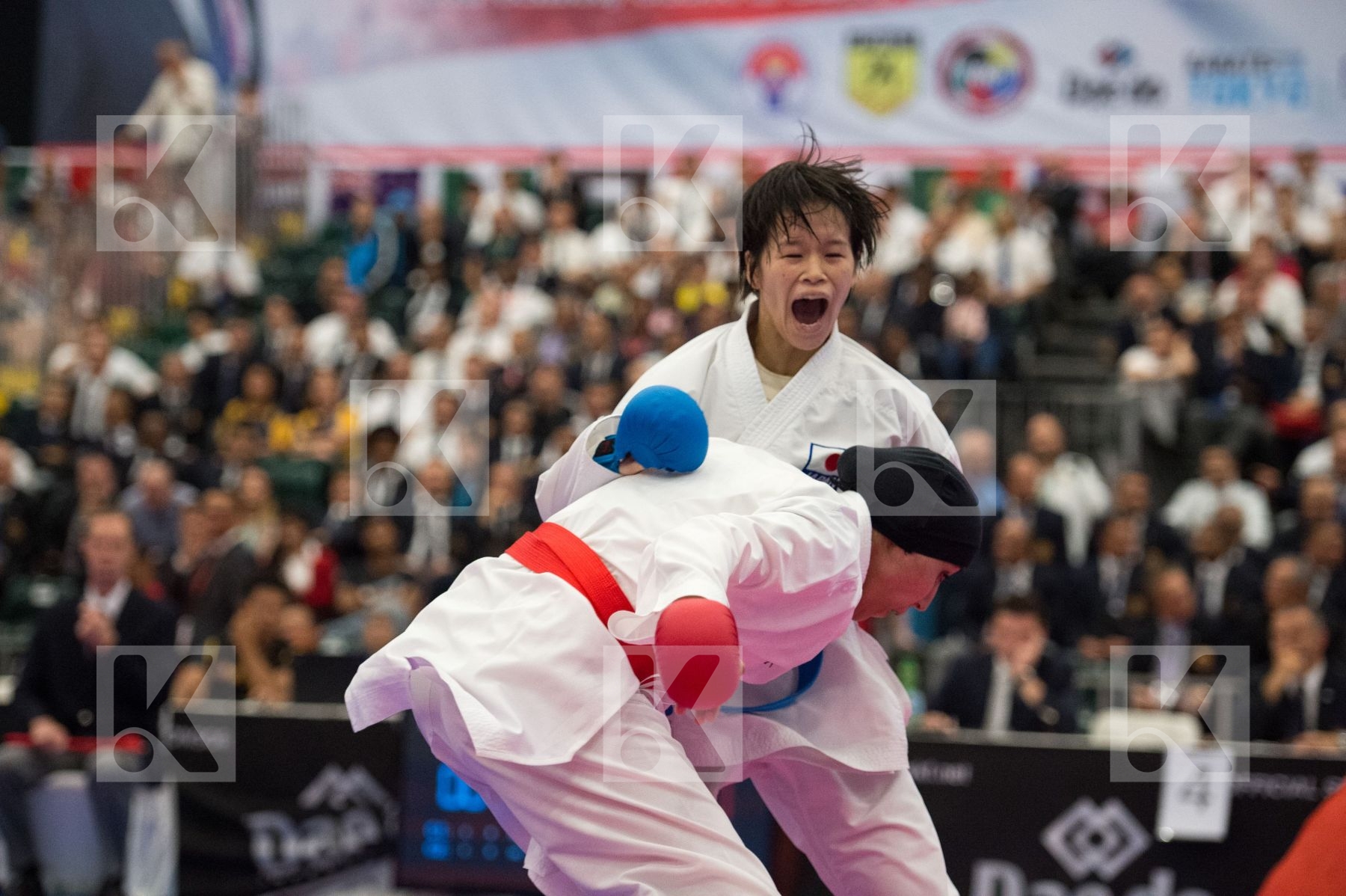 -61 kg Egypt Japan Lotfy Giana Moriguchi Ayami U21