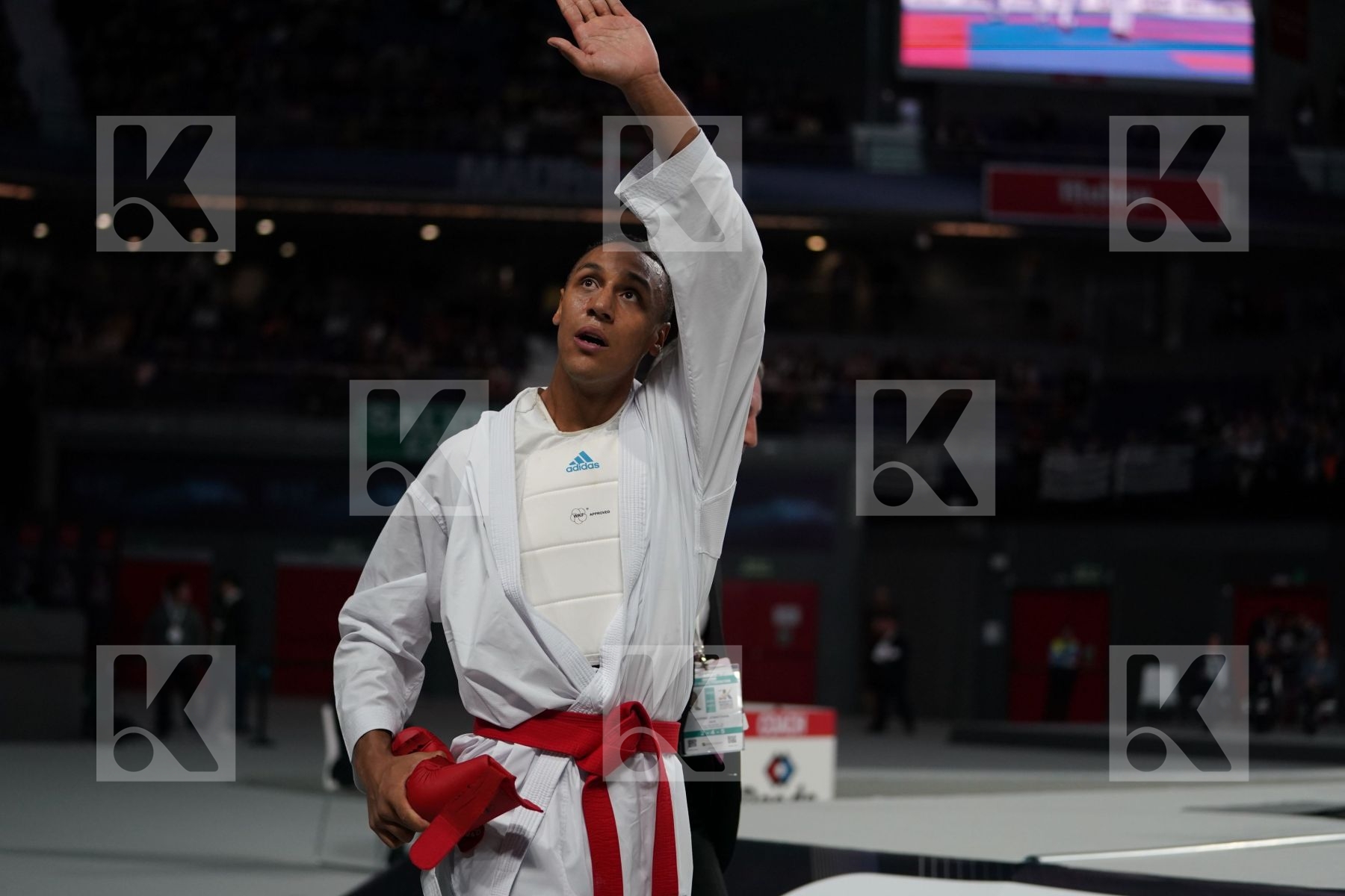 JONATHAN HORNE (GERMANY) vs SAJAD GANJZADEH (ISLAMIC REPUBLIC OF IRAN) in Senior Kumite 84+ Kg - Final bout