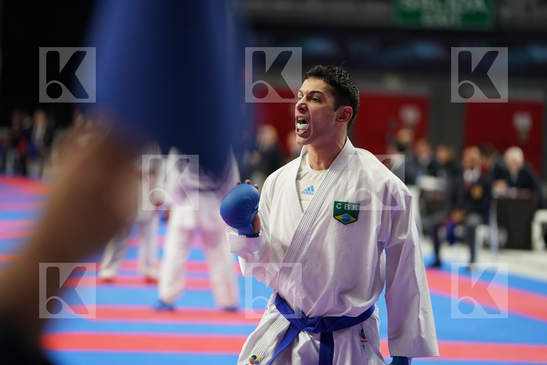 VINICIUS FIGUEIRA (BRAZIL) in Senior Kumite -67 Kg - Qualification