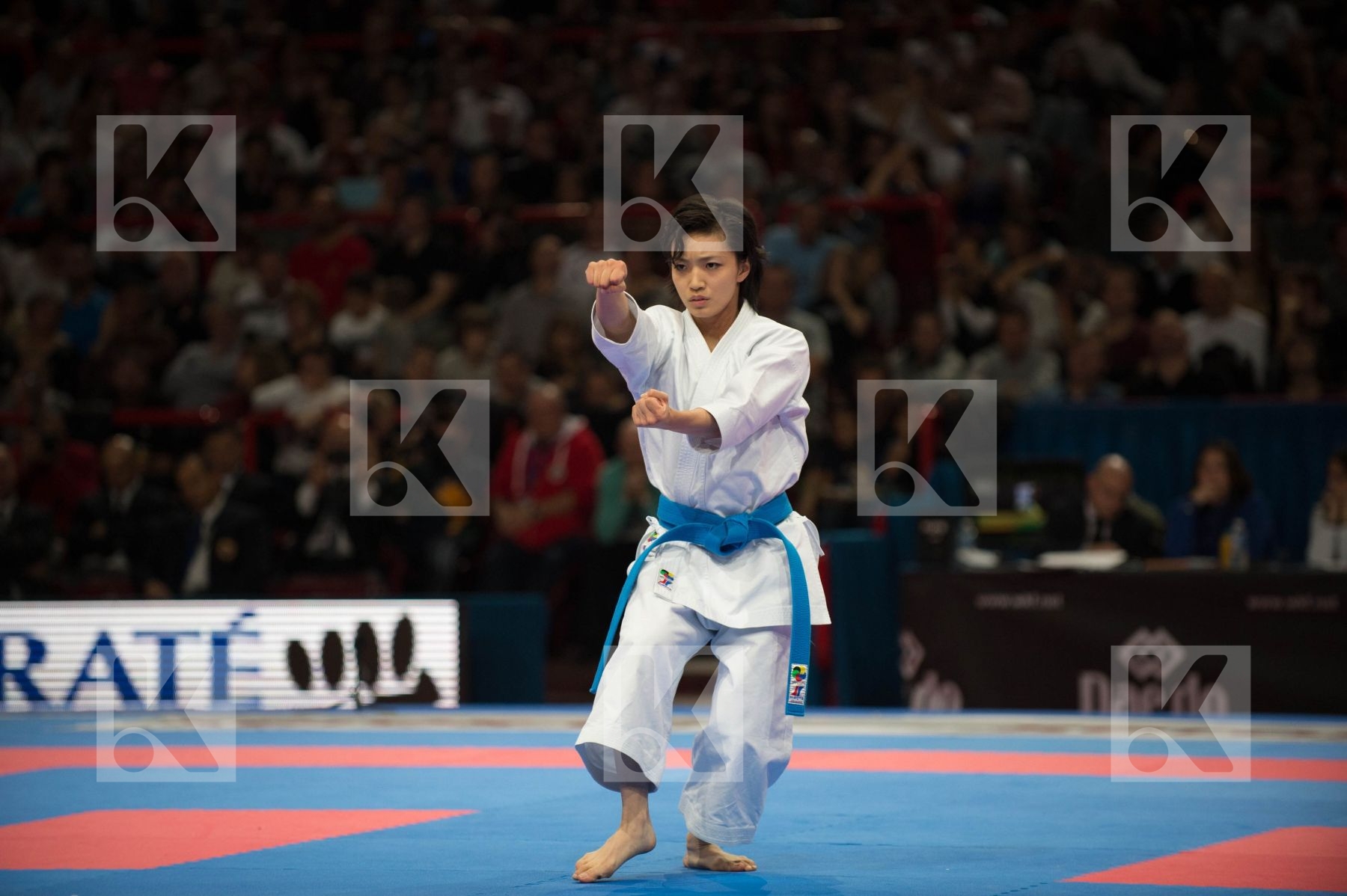 World Senior Karate Championship 2012 Paris 2012