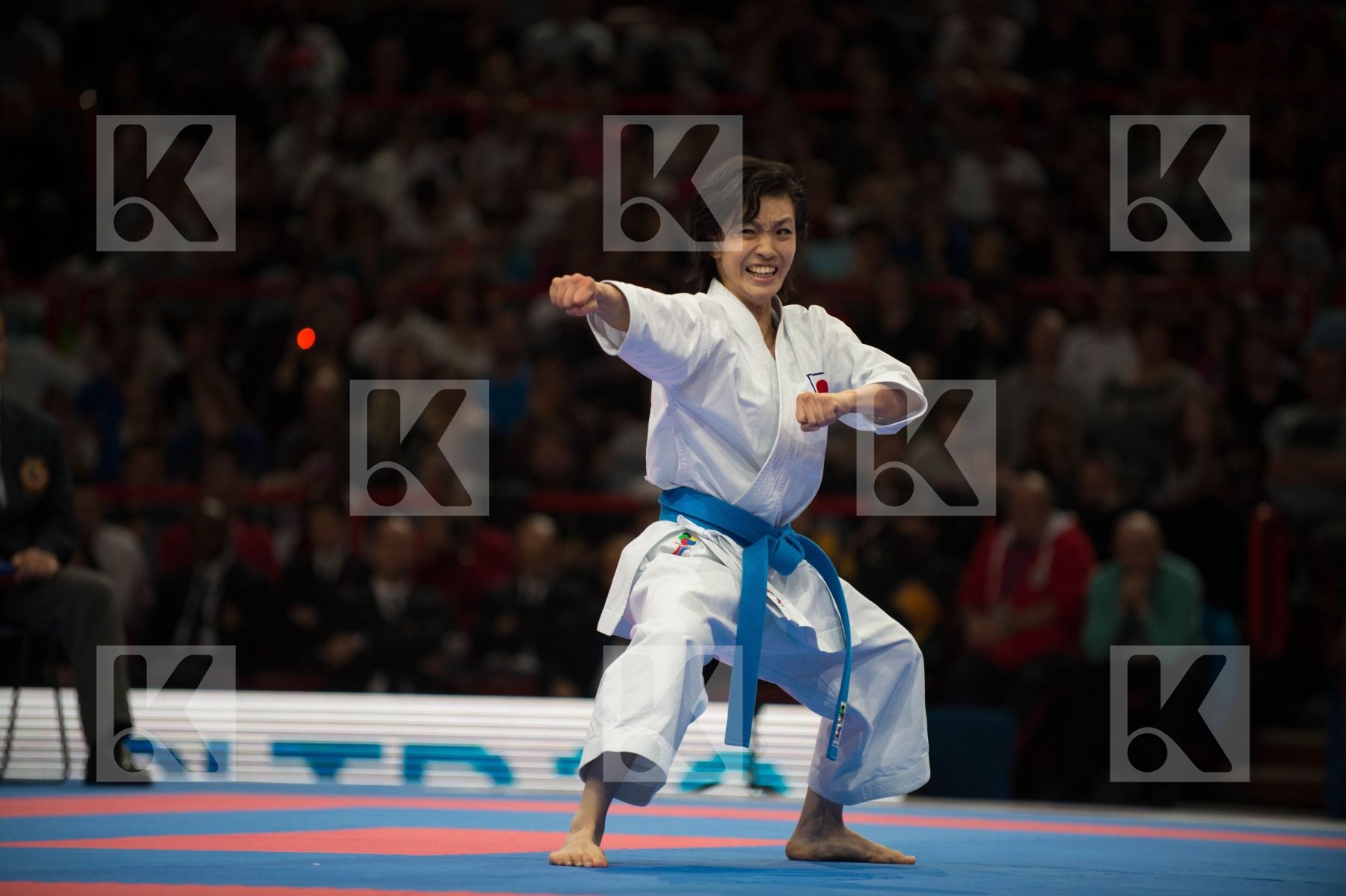 World Senior Karate Championship 2012 Paris 2012
