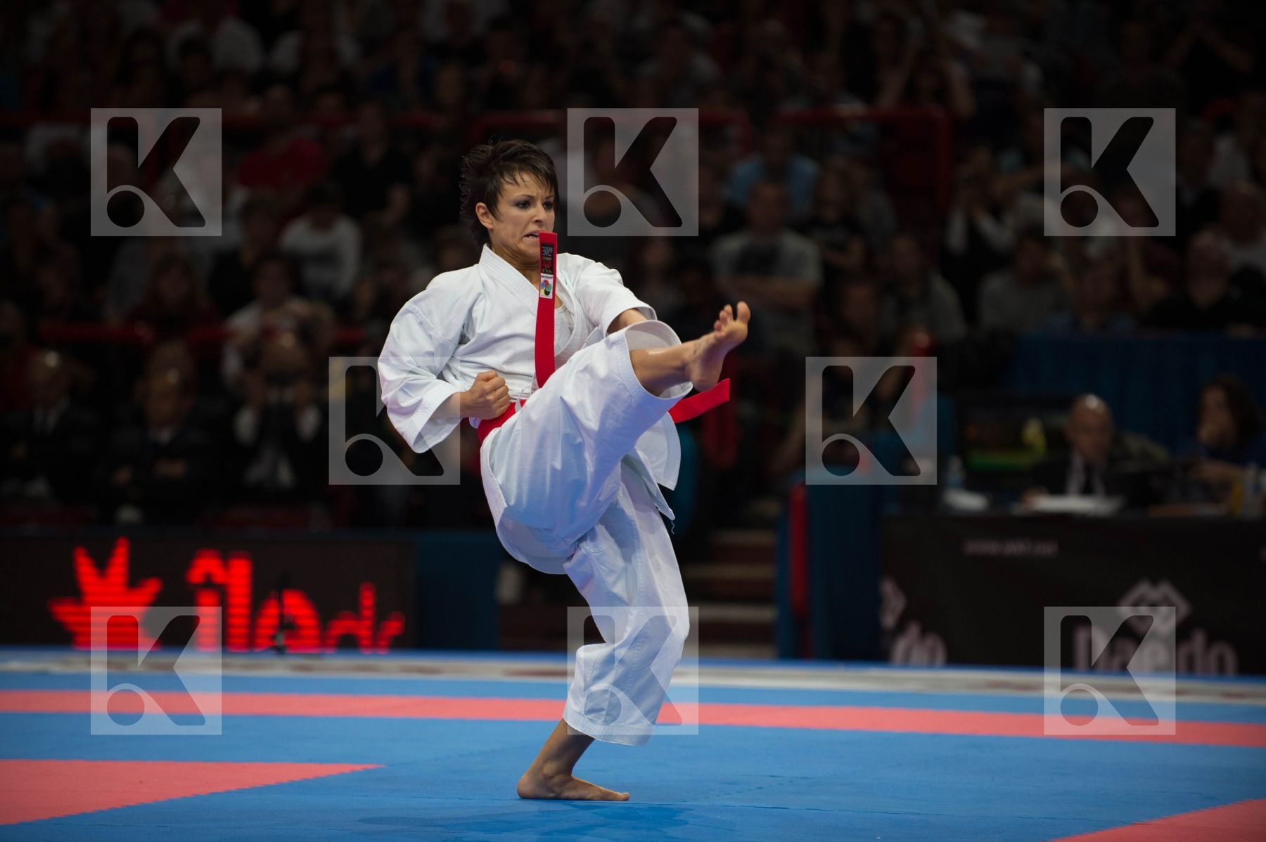 World Senior Karate Championship 2012 Paris 2012