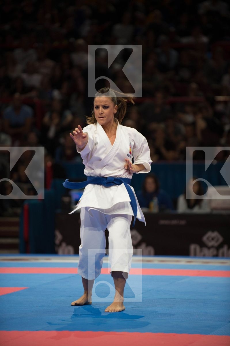 World Senior Karate Championship 2012