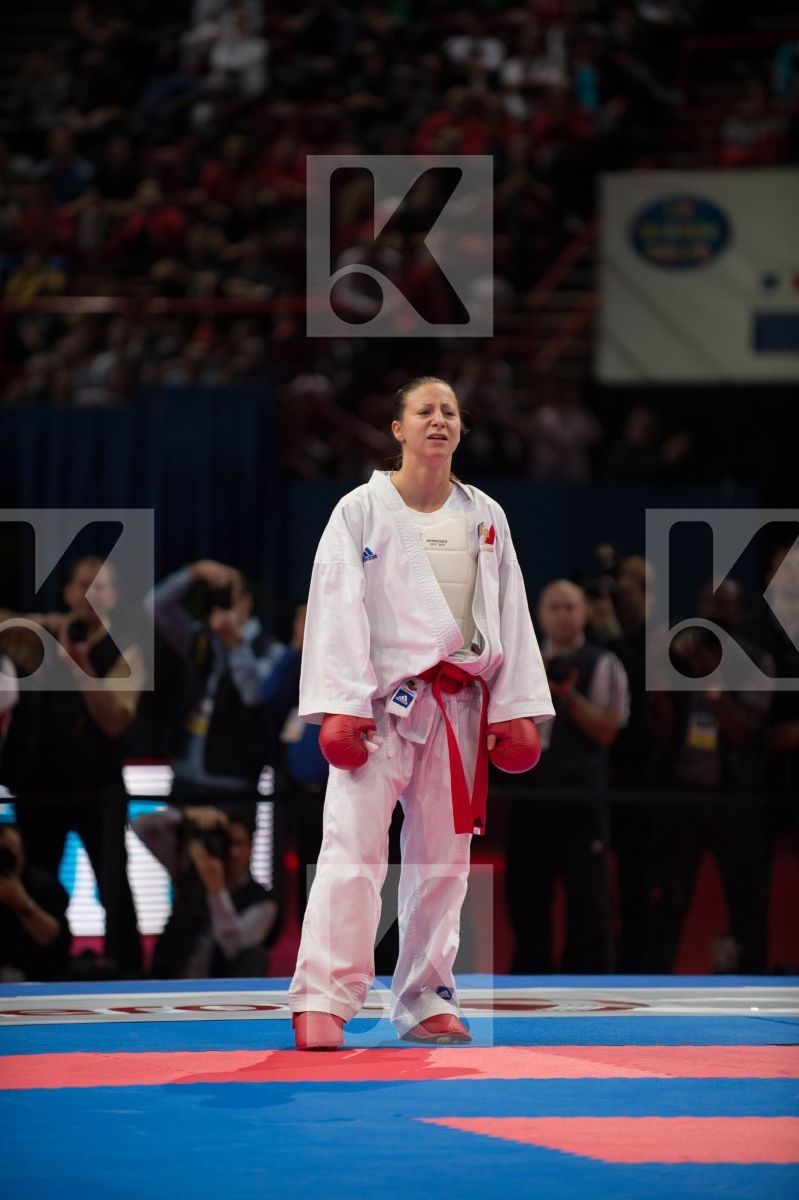 World Senior Karate Championship 2012 Paris 2012